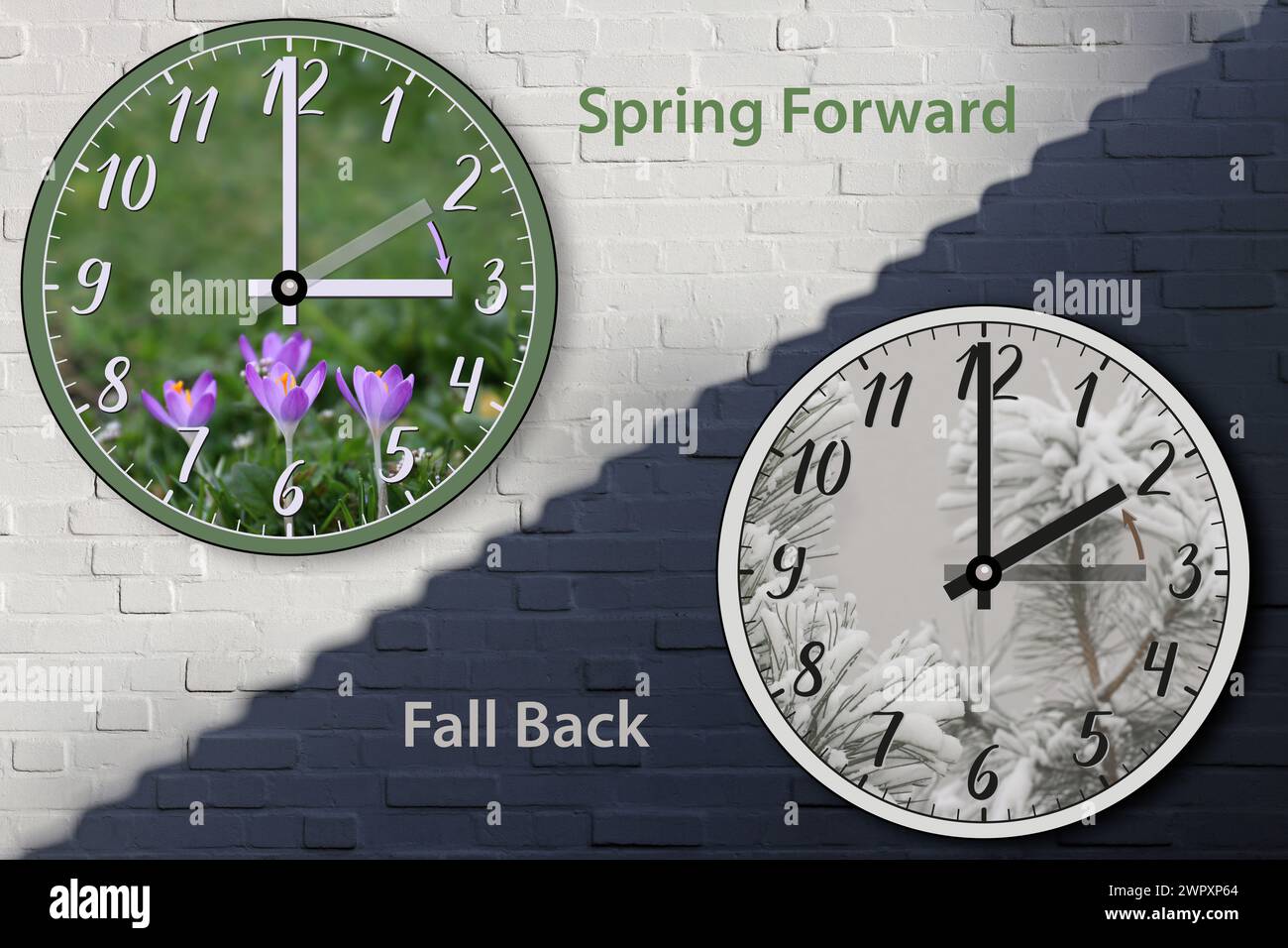 Watch Spring, Summer, Fall, Winter  And Spring