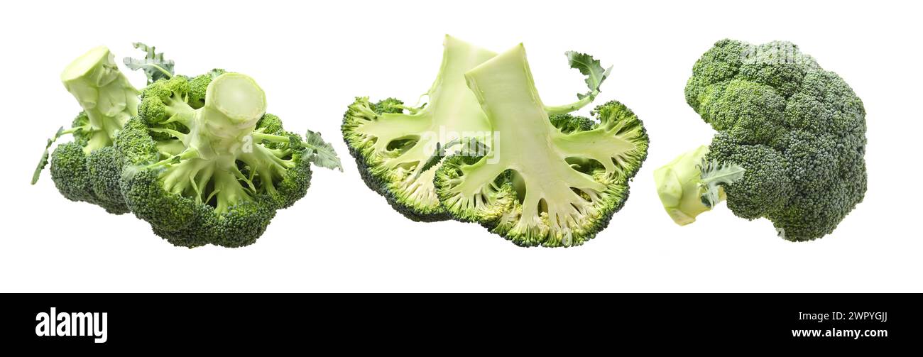 Broccoli vegetable isolated on white background Stock Photo