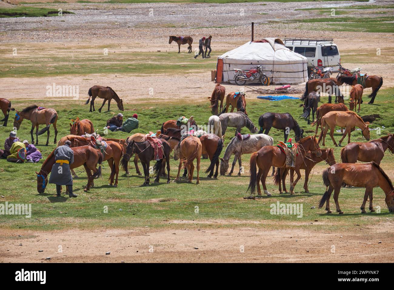 KHOVD, MONGOLIA - JULY 06, 2017: Mongolian nomad camp. Horses and car ...