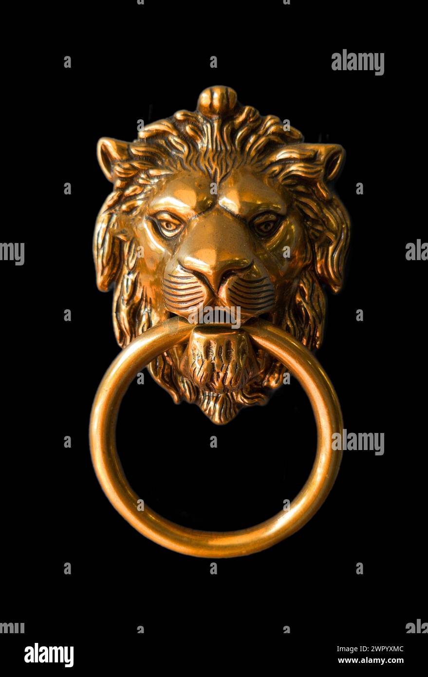 Lion head door knocker Stock Photo