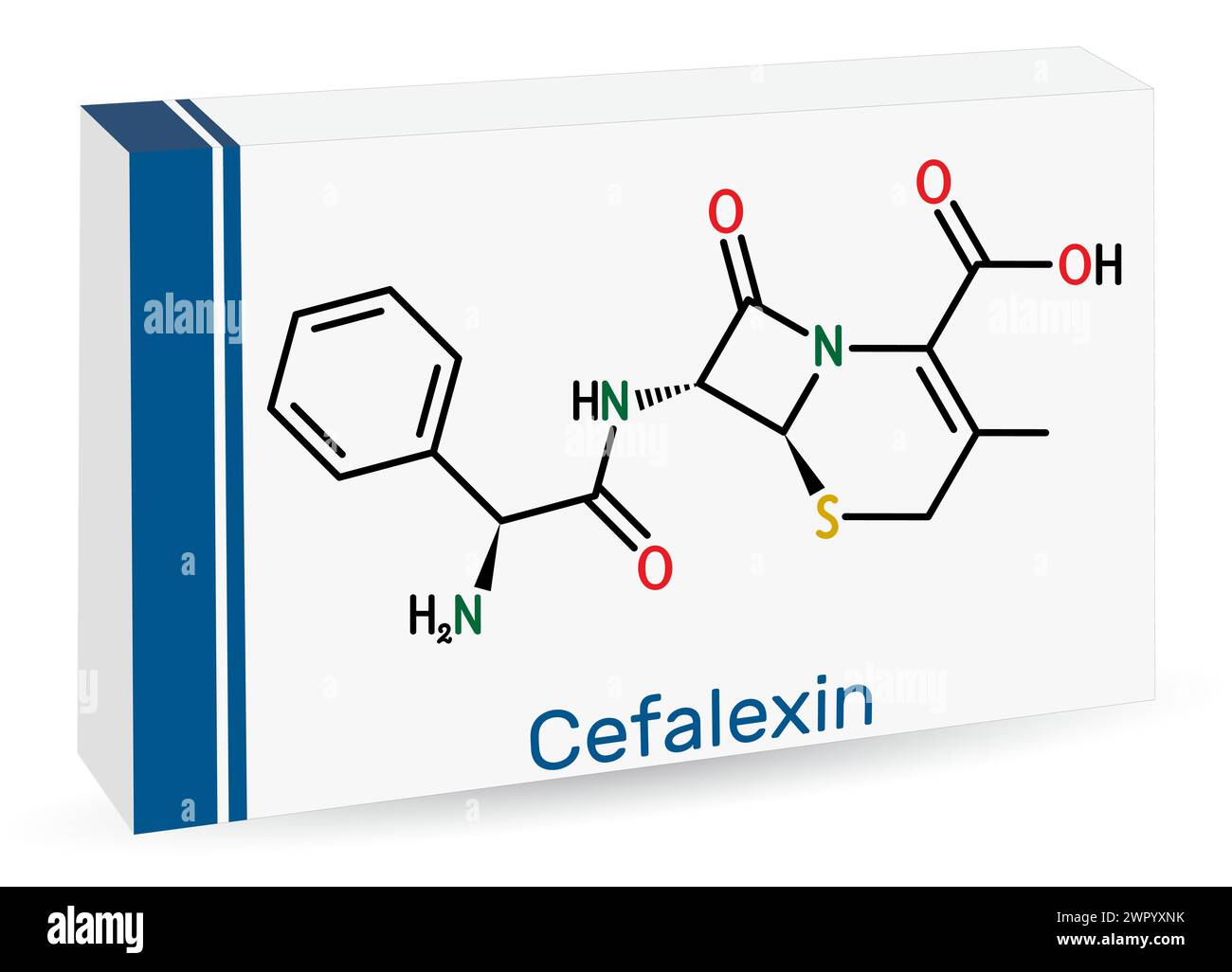 Cefalexin, cephalexin molecule. It is a beta-lactam antibiotic with bactericidal activity. Structural chemical formula and molecule model. Vector illu Stock Vector