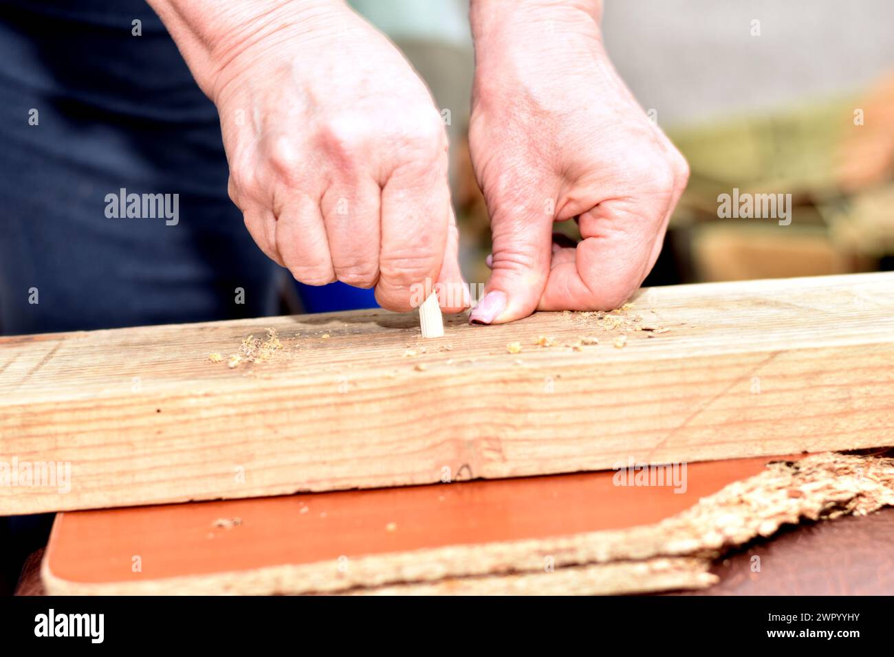 A furniture wooden dowel is inserted into the hole made in the board. Stock Photo