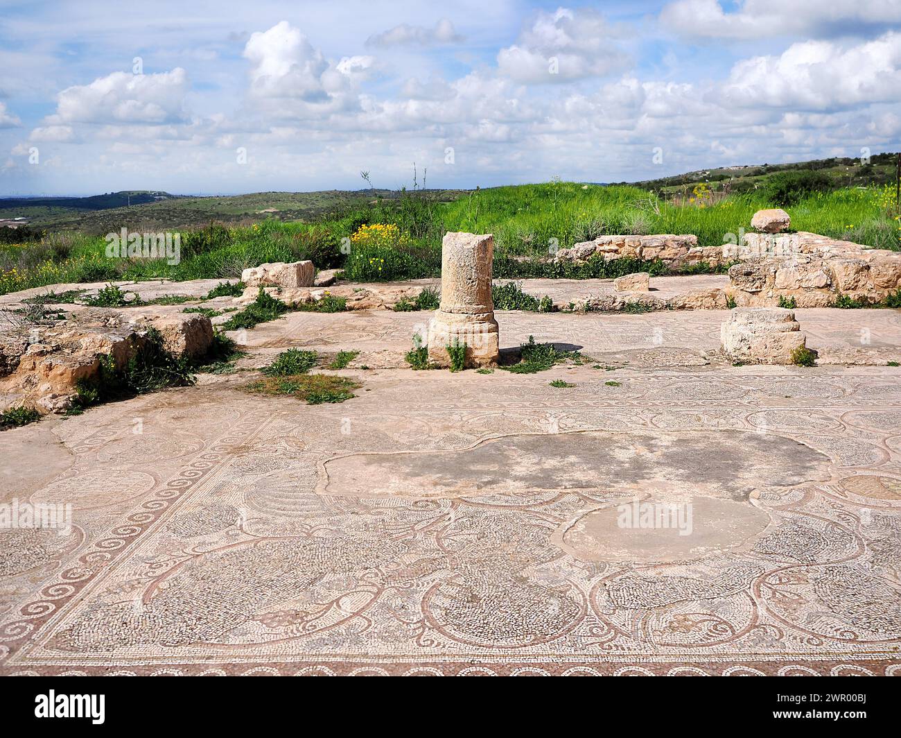 Mosaic in the ruins of a church from the Byzantine period. Israel. Beit Loya. Stock Photo