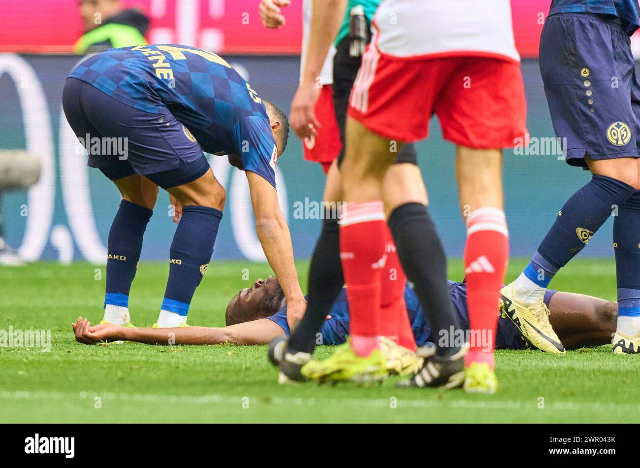 Joshua Guilavogu, MZ 23 head injury   in the match  FC BAYERN MUENCHEN - FSV MAINZ 05 8-1   on Mar 9, 2024 in Munich, Germany. Season 2023/2024, 1.Bundesliga, FCB,, München, matchday 25, 25.Spieltag © Peter Schatz / Alamy Live News    - DFL REGULATIONS PROHIBIT ANY USE OF PHOTOGRAPHS as IMAGE SEQUENCES and/or QUASI-VIDEO - Stock Photo