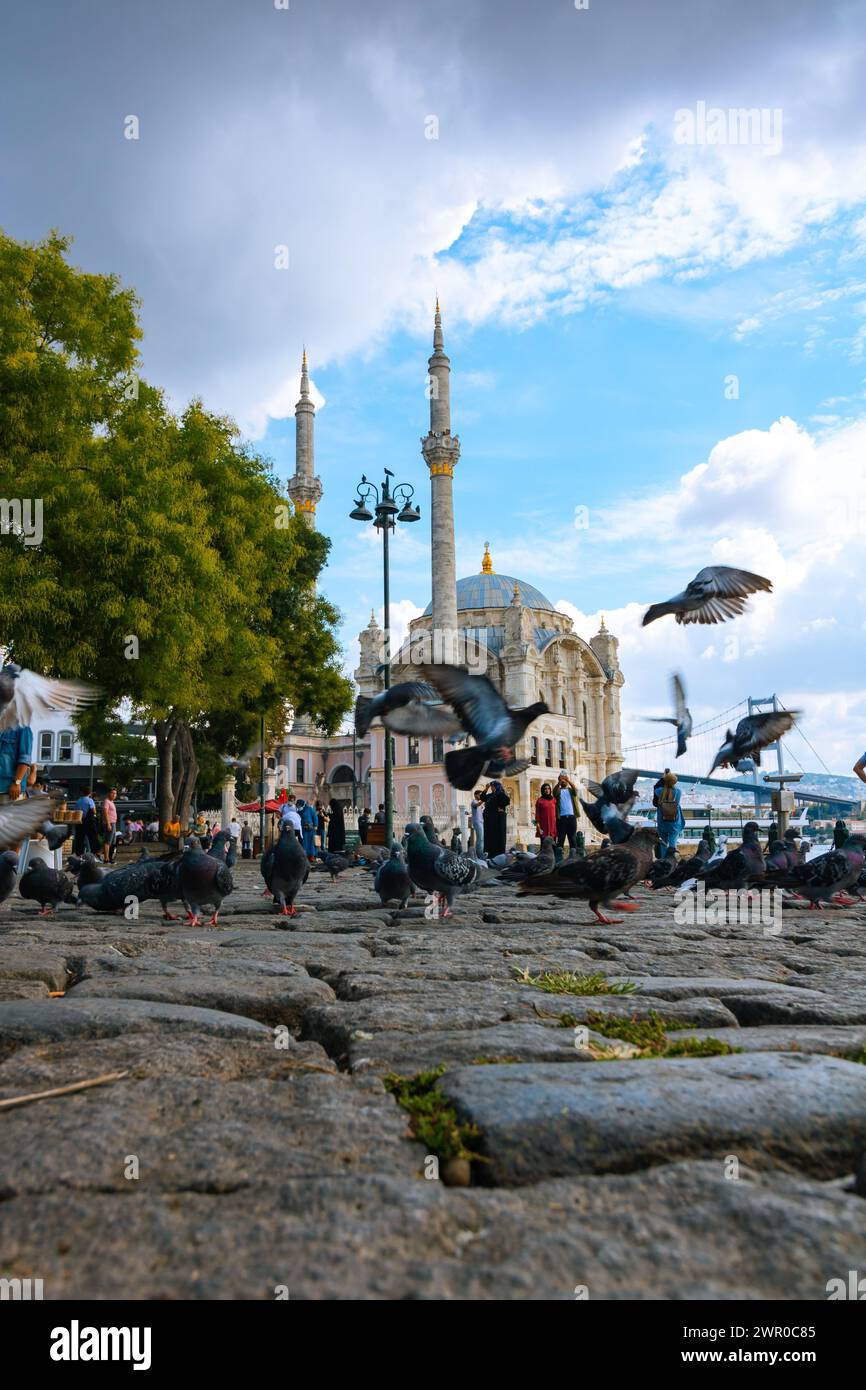 Turkiye istanbul ortakoy mosque hi-res stock photography and images - Alamy