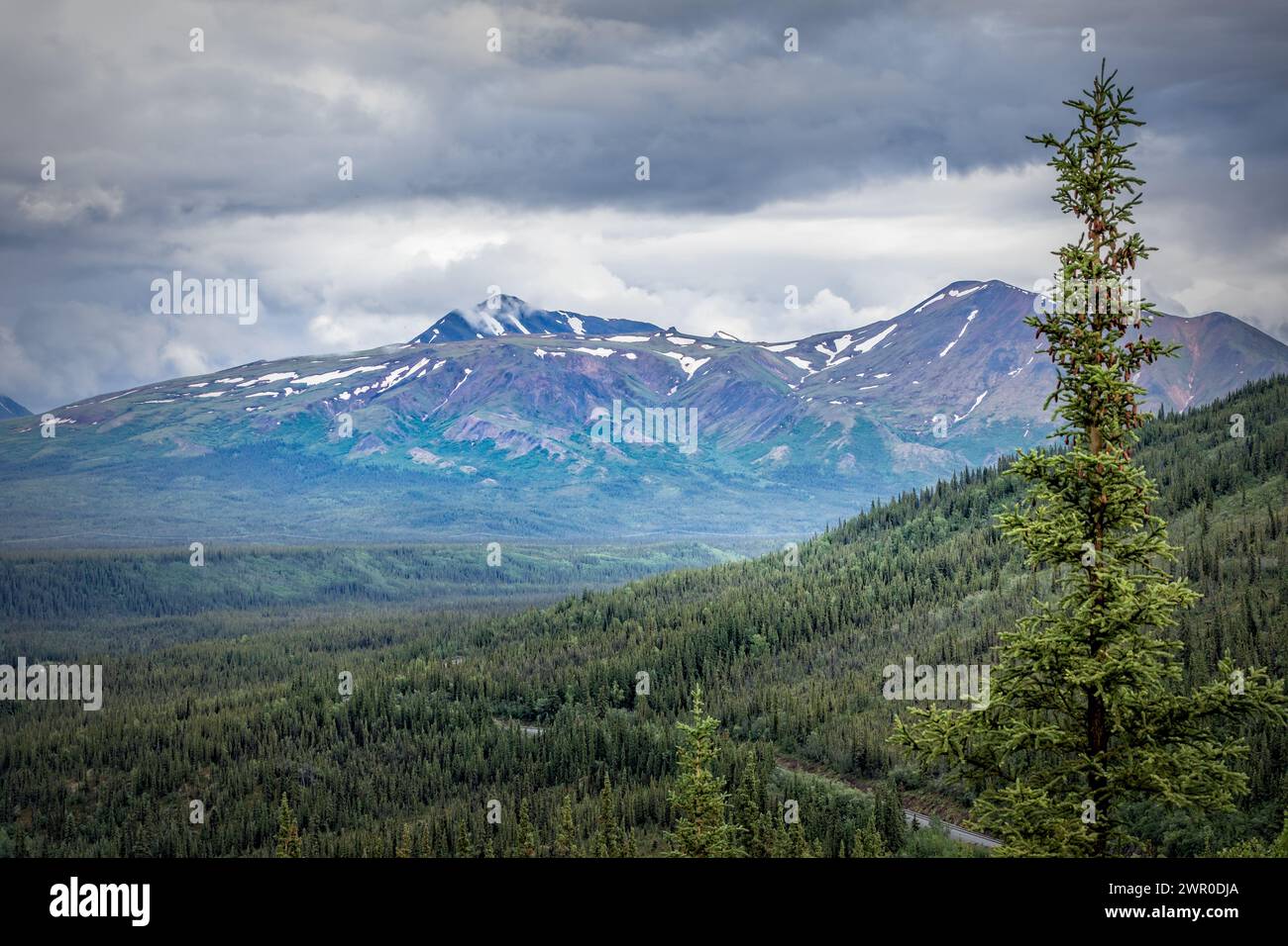 Denali state park and preserve hi-res stock photography and images - Alamy
