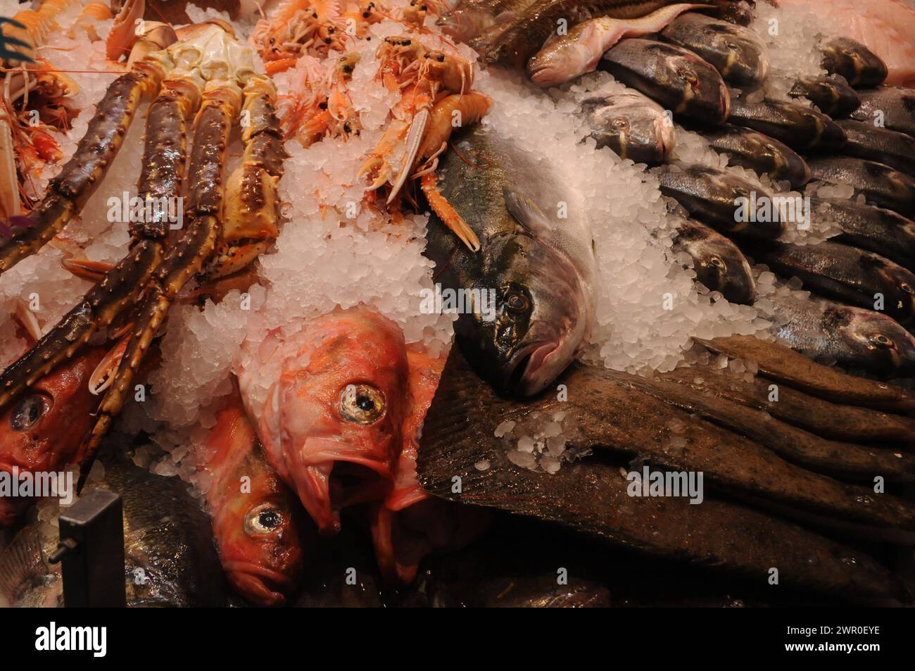 Copenhagen, Denmark /10 March 2024/ Seafood menu various fish on sale