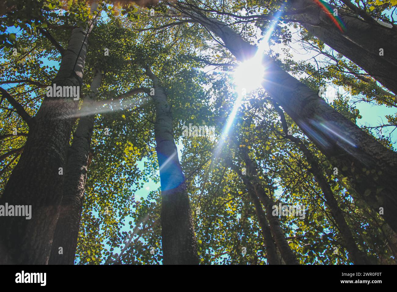 Uplifting perspective hi-res stock photography and images - Alamy