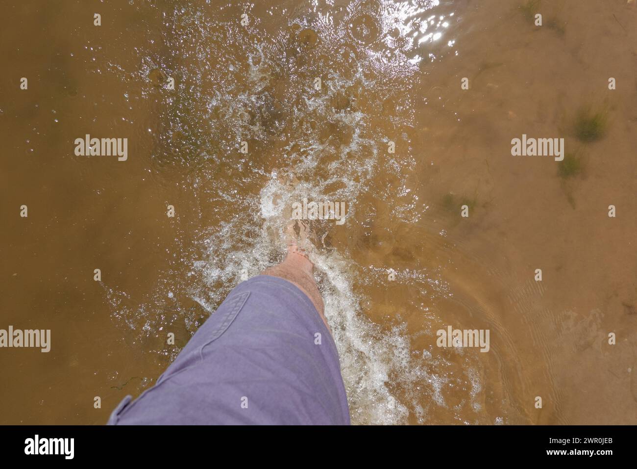 Walking through calm seawater barefooted Stock Photo