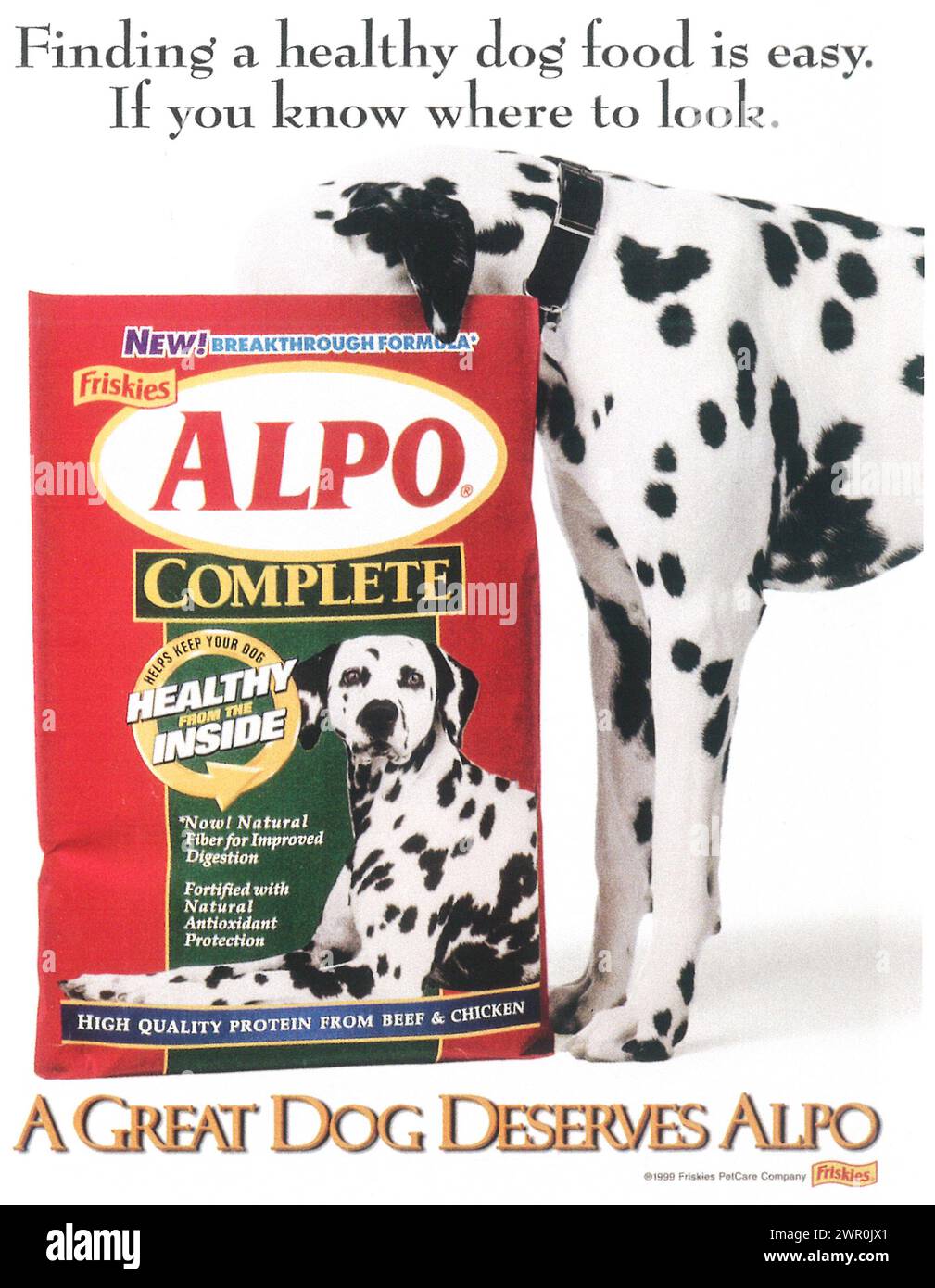 automatic dog feeder wet food Polar Smart Wet Food Feeder