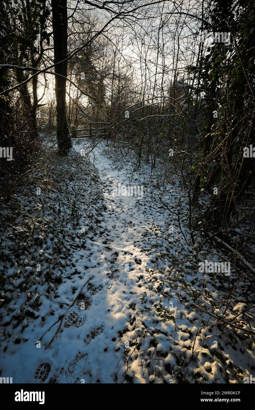 Snow-covered path curving through woods in winter sunlight; boot prints in foreground; broken fence in background. Stock Photo