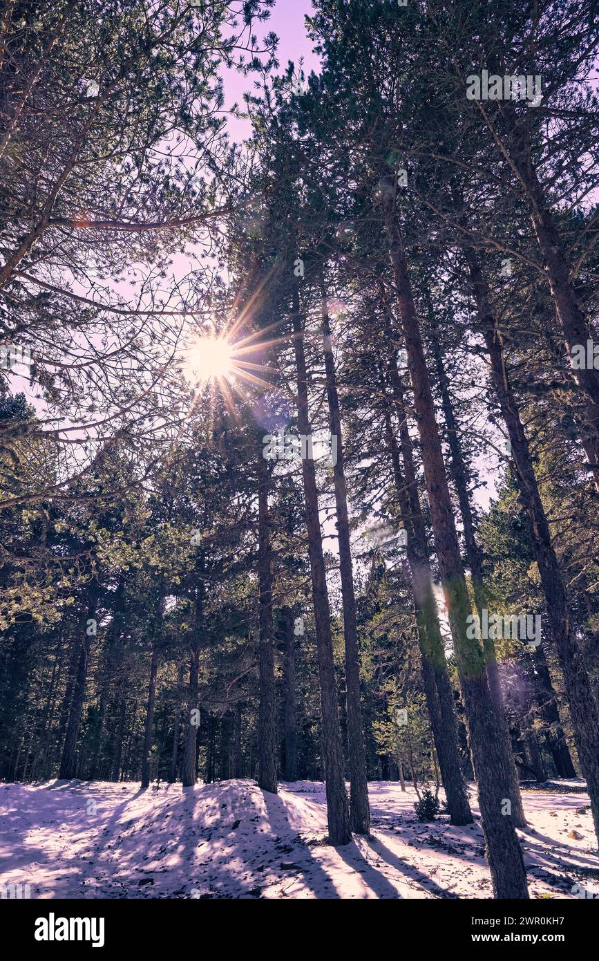 Horizontal alignment signs hi-res stock photography and images - Alamy