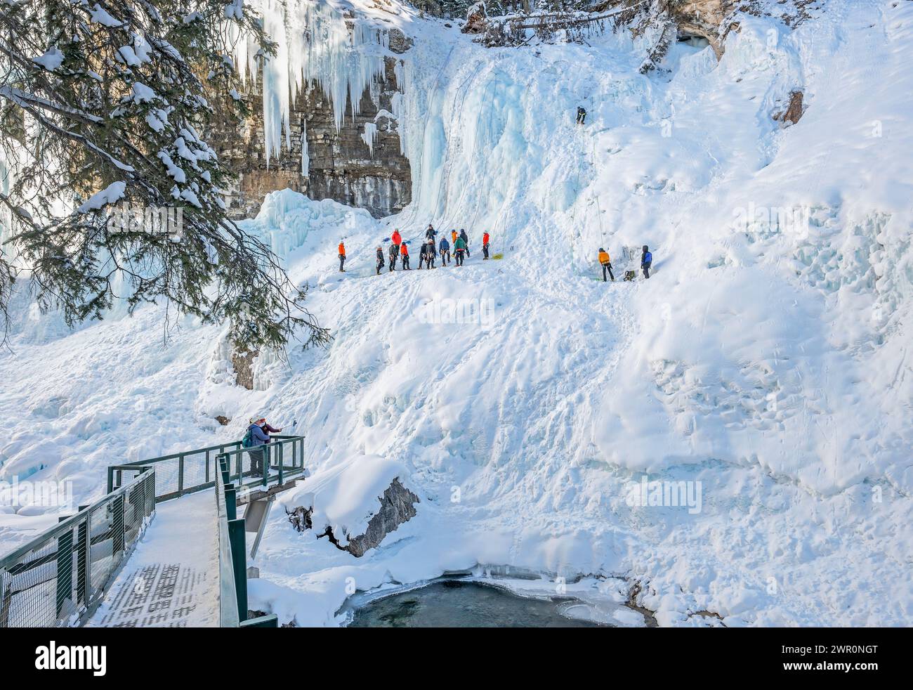 Banff National Park, Alberta, Canada – March 07, 2024:  A group of people in Johnston Canyon prepare for an ice climb as people watch from an observat Stock Photo