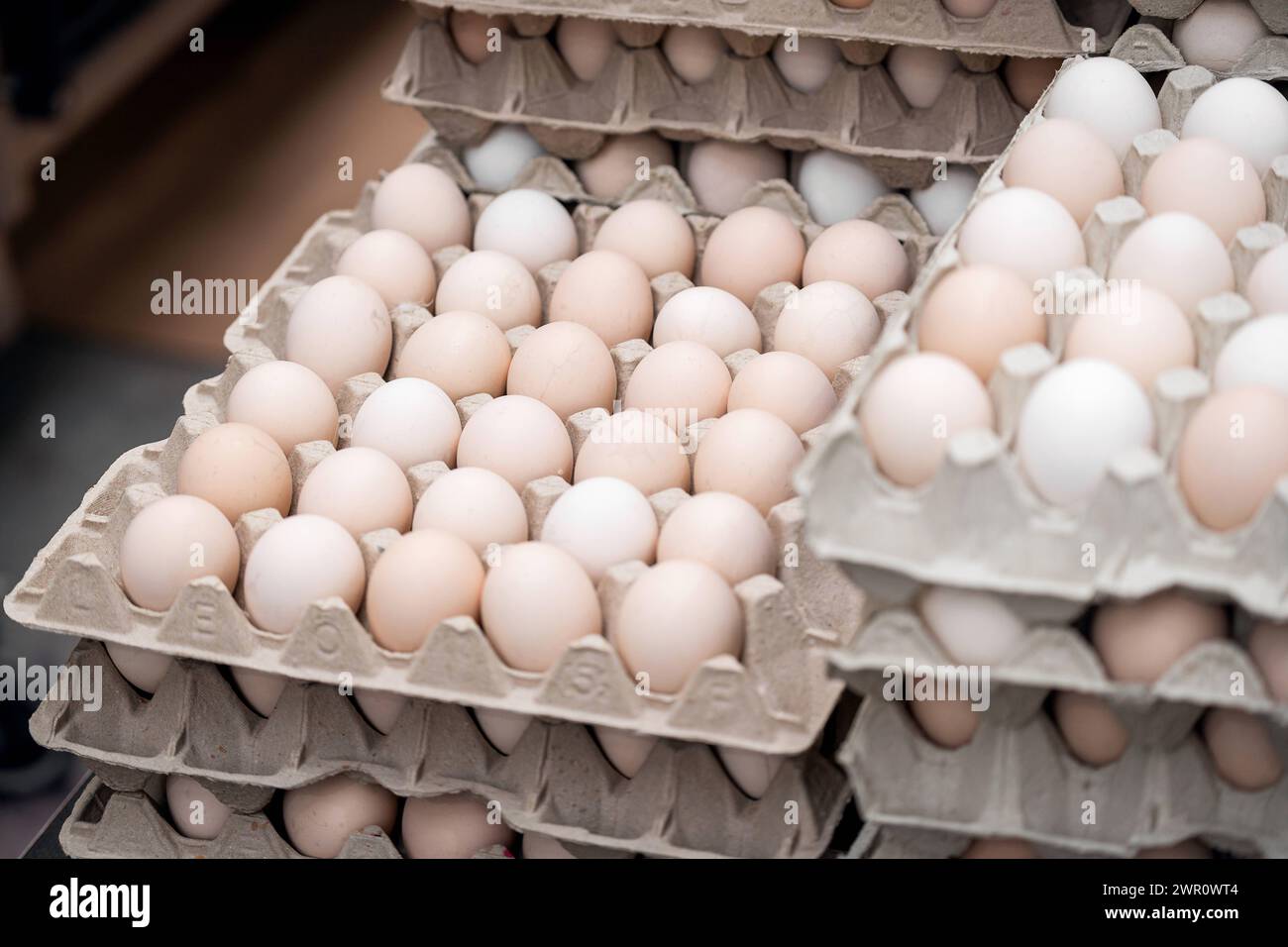 Thannhausen, Bavaria, Germany - 10 March 2024: Organic chicken eggs on a pallet at Eierfärberei Beham in Thannhausen in Bavaria *** Bio Hühnereier auf einer Palette bei der Eierfärberei Beham in Thannhausen in Bayern Stock Photo
