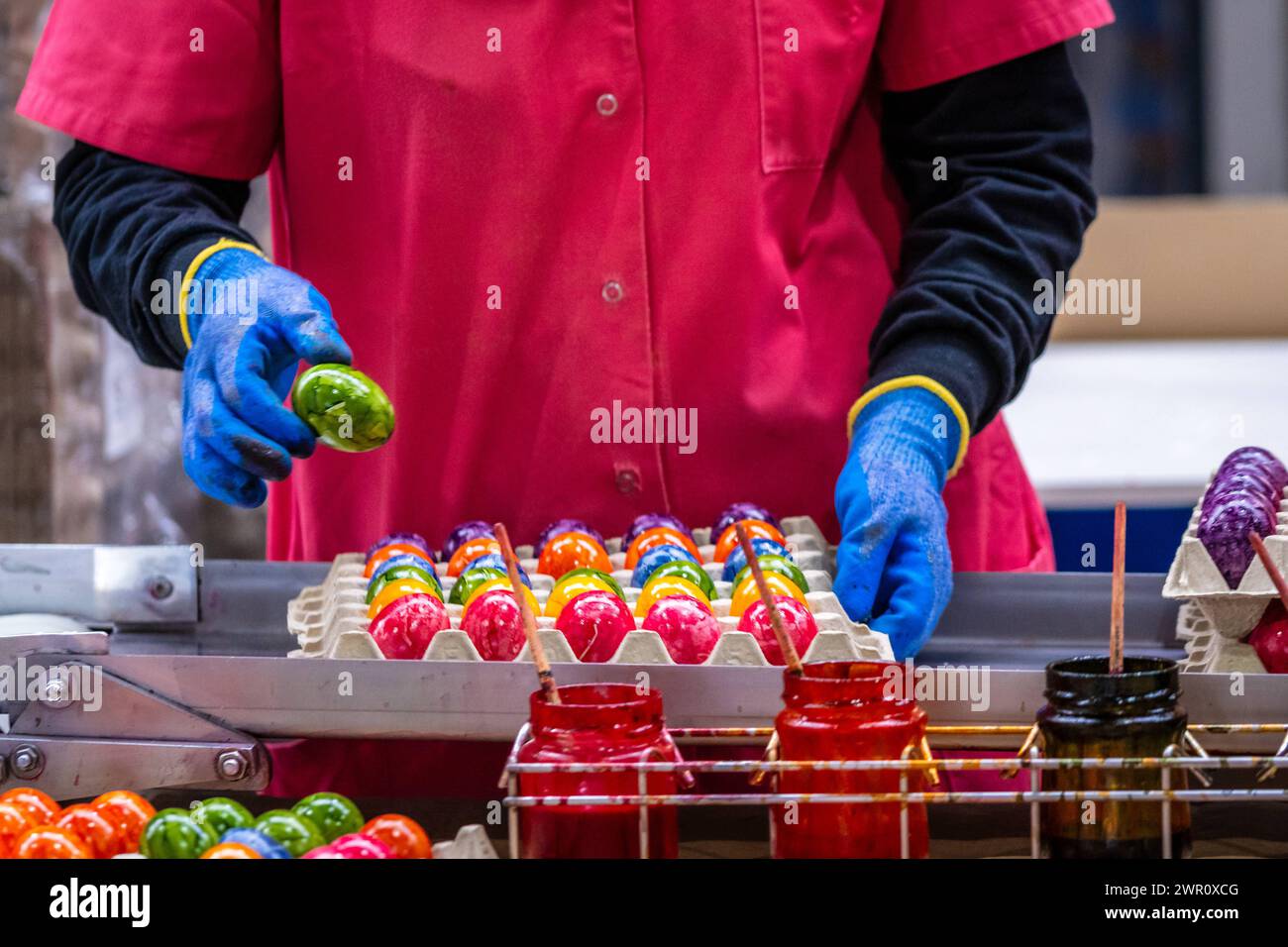 Thannhausen, Bavaria, Germany - 10 March 2024: Employee on the assembly line at the Beham egg dyeing plant in Thannhausen in Bavaria sorts Easter eggs by color *** Mitarbeiterin am Fließband bei der Eierfärberei Beham in Thannhausen in Bayern sortiert Ostereier nach Farben Stock Photo