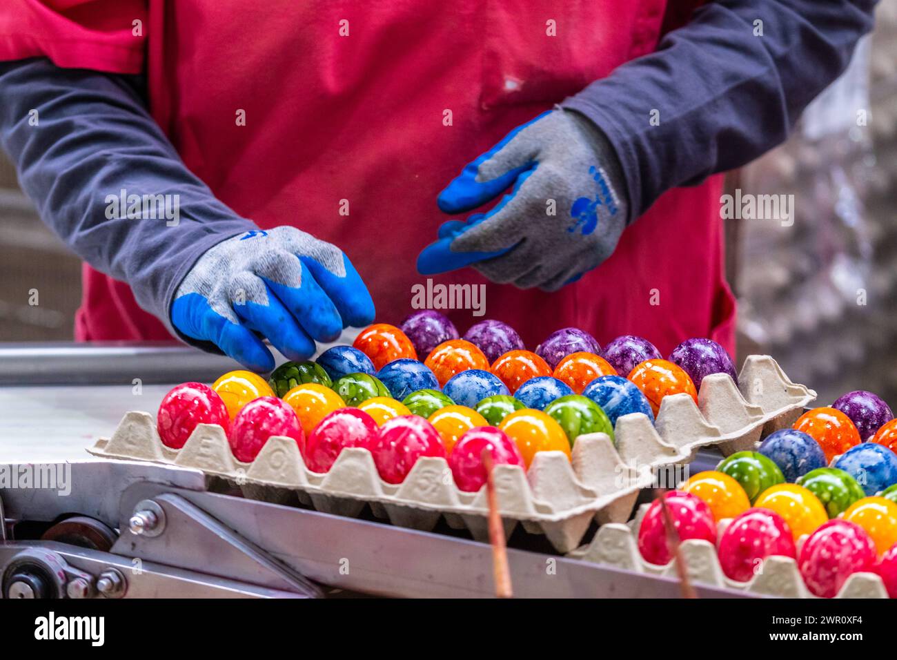 Thannhausen, Bavaria, Germany - 10 March 2024: Employee on the assembly line at the Beham egg dyeing plant in Thannhausen in Bavaria sorts Easter eggs by color *** Mitarbeiterin am Fließband bei der Eierfärberei Beham in Thannhausen in Bayern sortiert Ostereier nach Farben Stock Photo