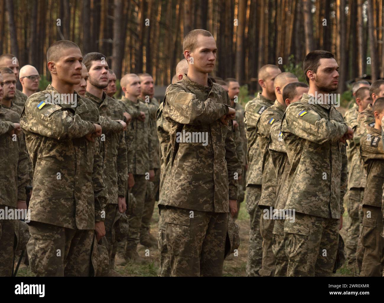 3rd Sab Newly recruited soldiers of Ukraine's 3rd Assault Brigade line up at a ...