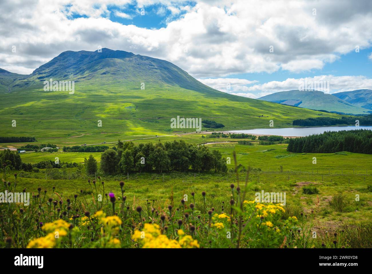 scenery of Loch Lomond at highlands in scotland, united kingdom Stock Photo