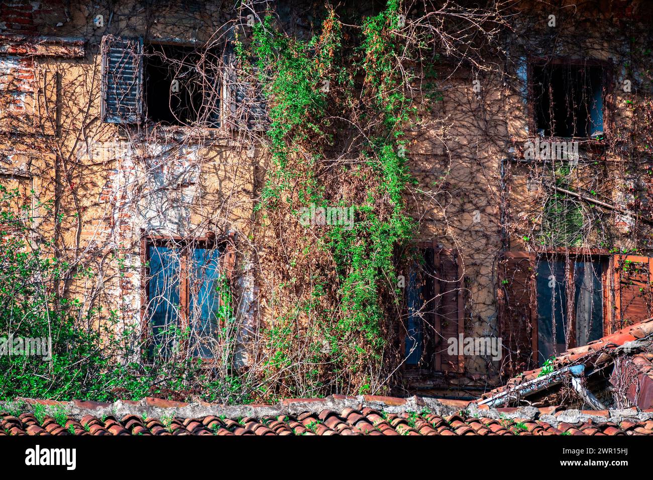 House in an internal courtyard on Alzaia Naviglio Grande in old Milan, ruin, dilapidated. Italy. Adorned and covered with ivy and vines. Italy Stock Photo