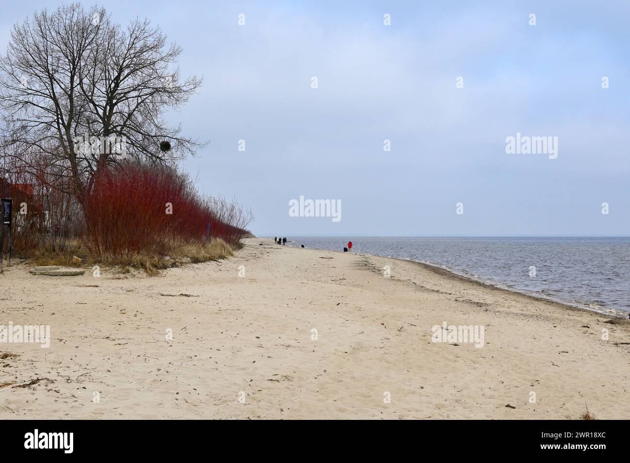 Rewa beach, a nature reserve located in the area of Seaside Landscape Park in Rewa village. Poland Stock Photo
