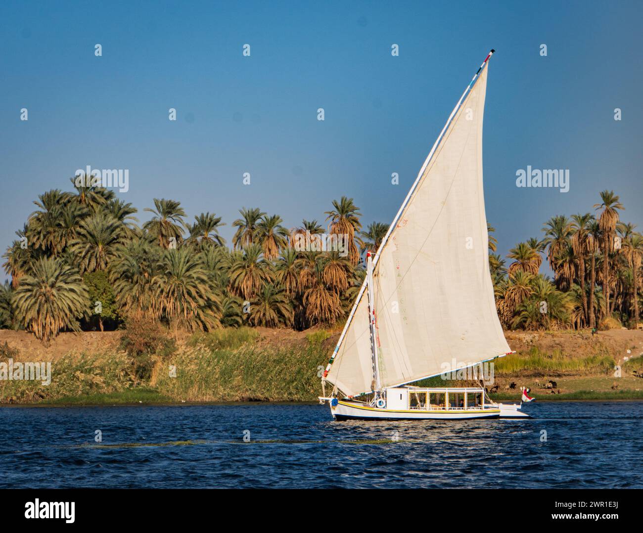 felucca sailboat along the Nile river with it's iconic white triangular ...