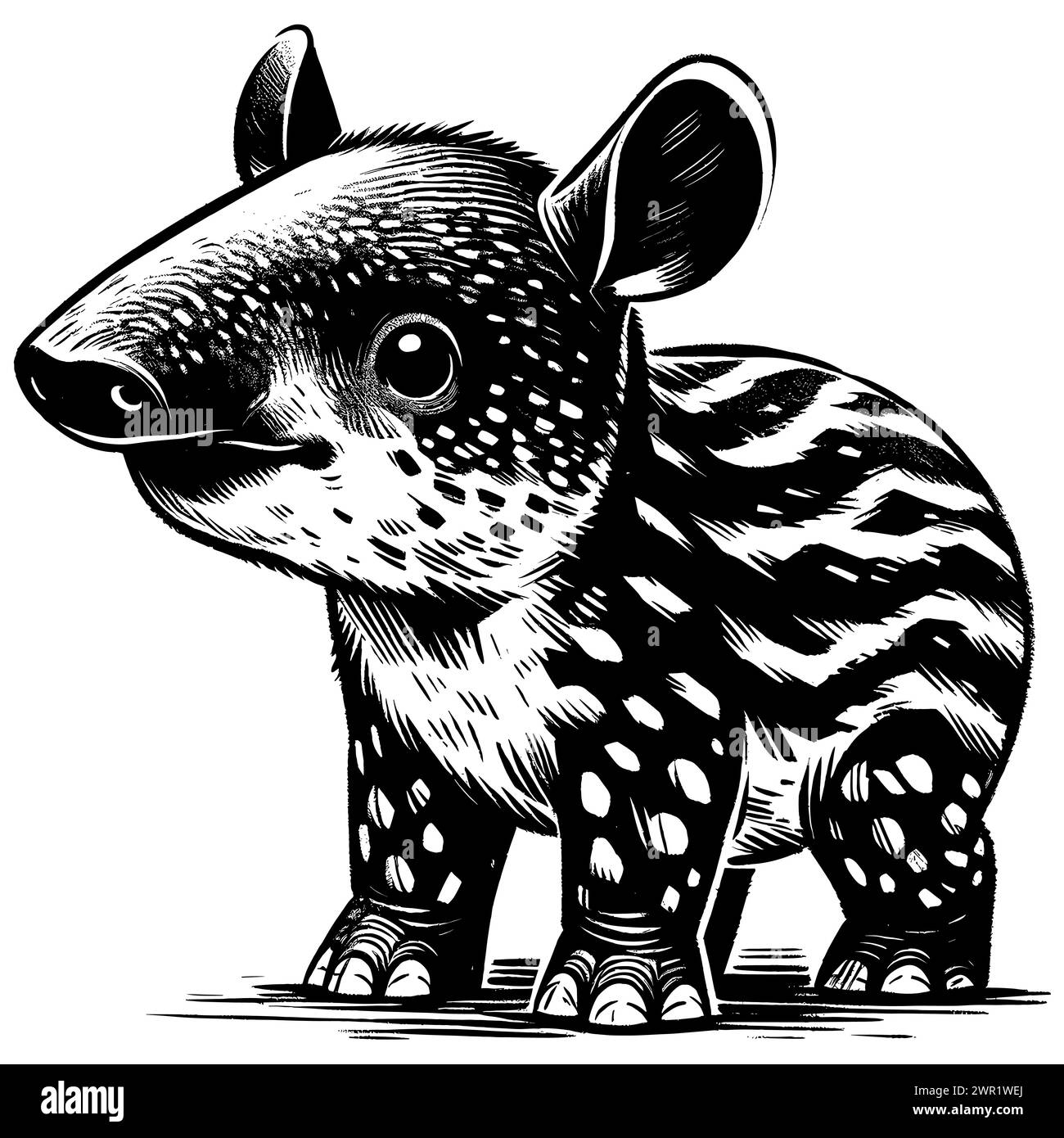 Tapir outline Stock Vector Images - Alamy