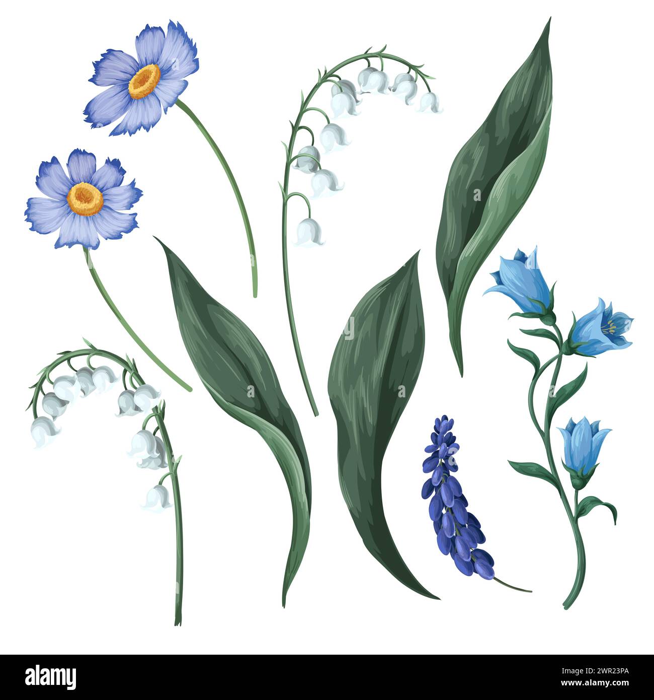 Lilies of the field watercolor hi-res stock photography and images - Alamy