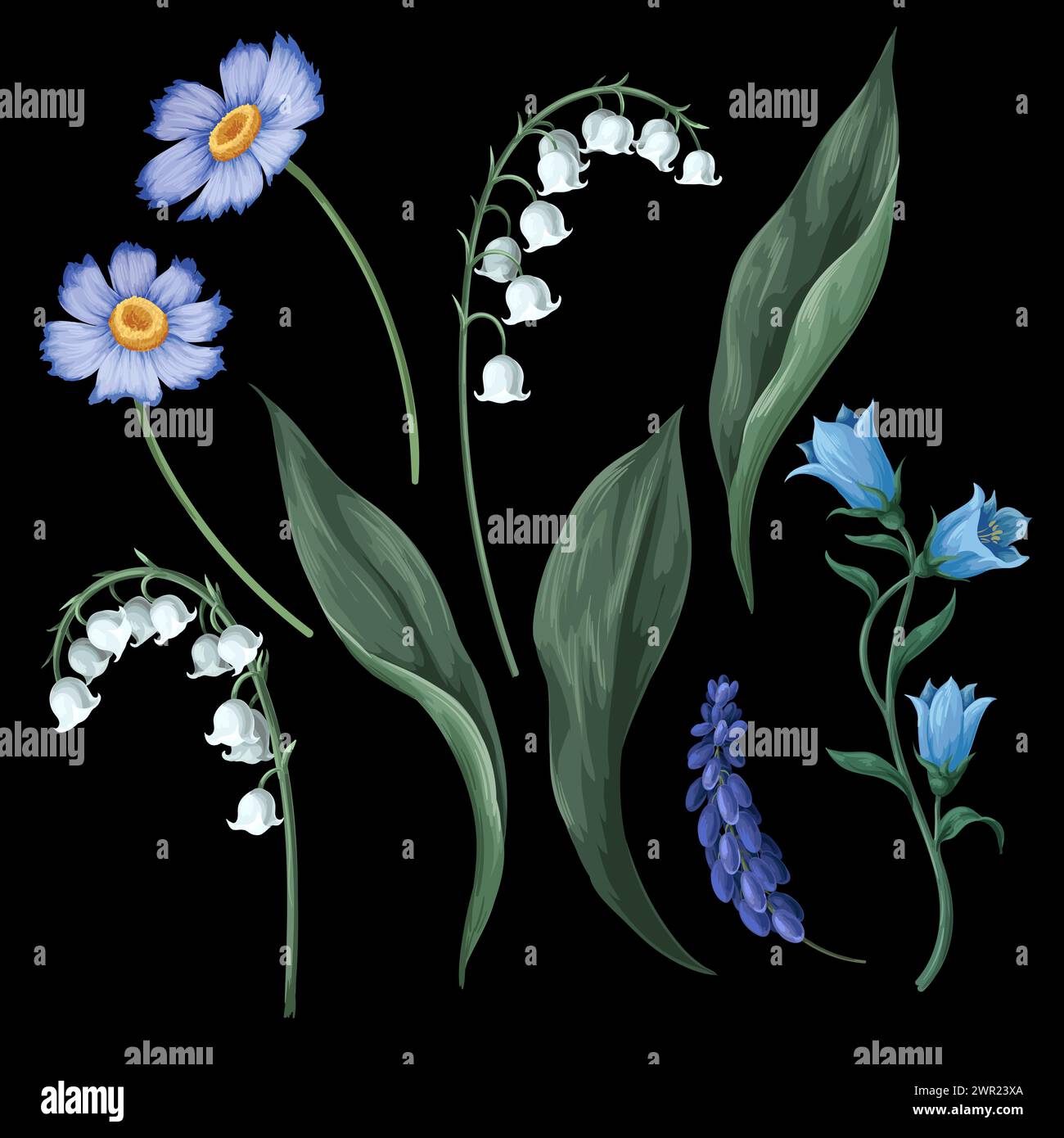 Lilies of the field sketch hi-res stock photography and images - Alamy