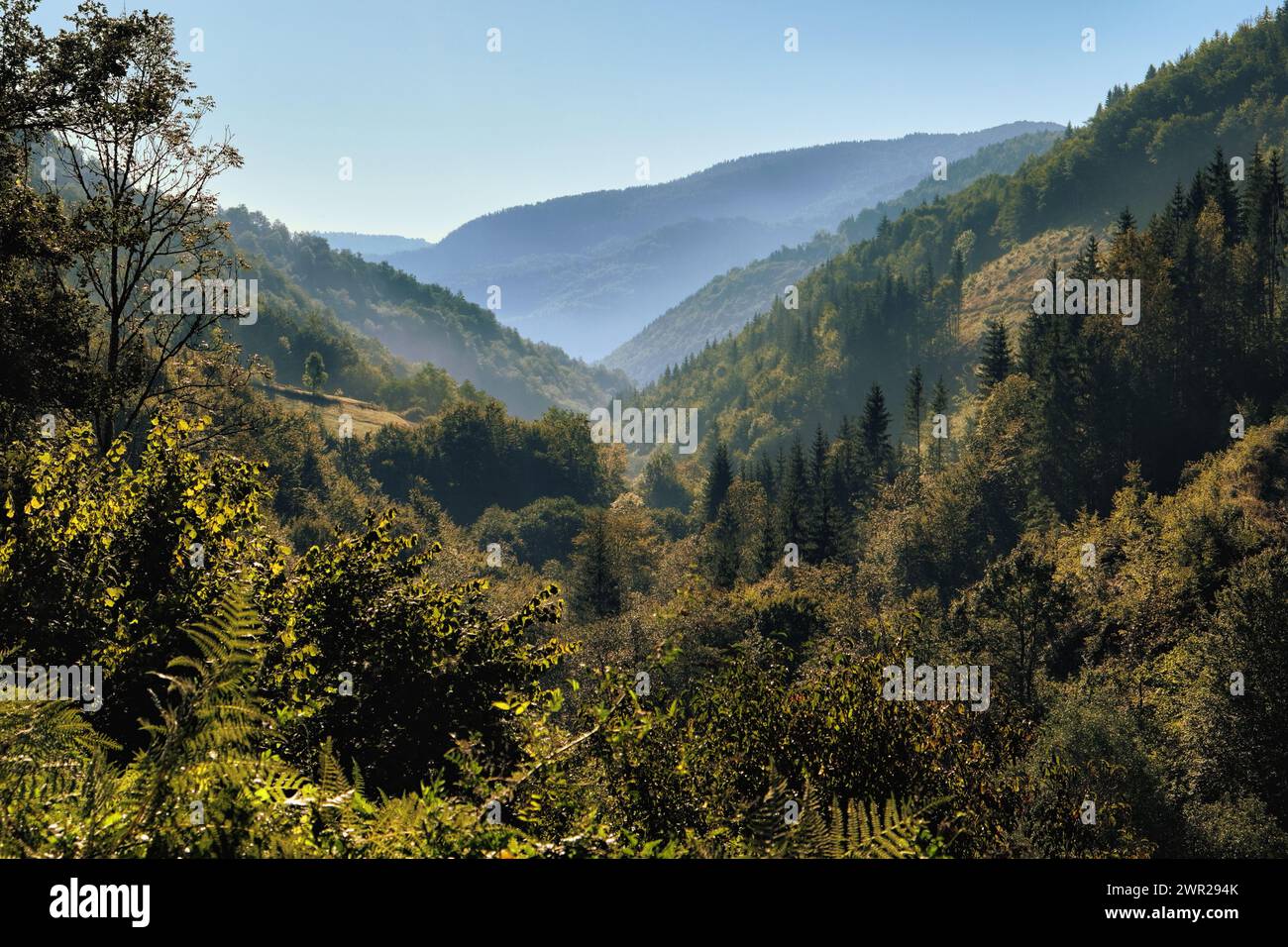 autumn landscape on mountain valley in morning mist, South-Western Serbia Stock Photo