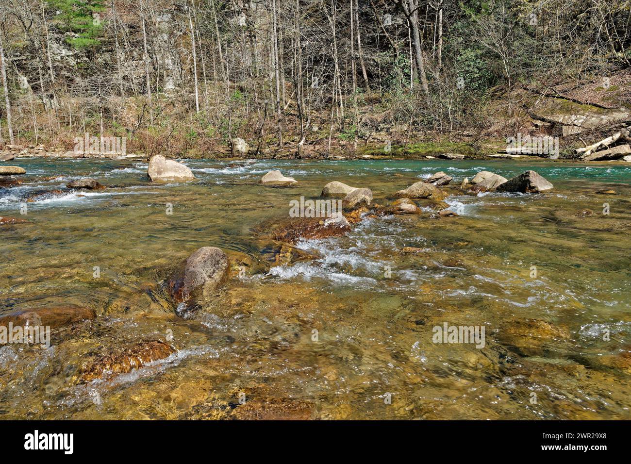 Fast flowing whitewater around the boulders in the crystal clear water of the Piney river in Tennessee closeup view with the woodlands in the backgrou Stock Photo