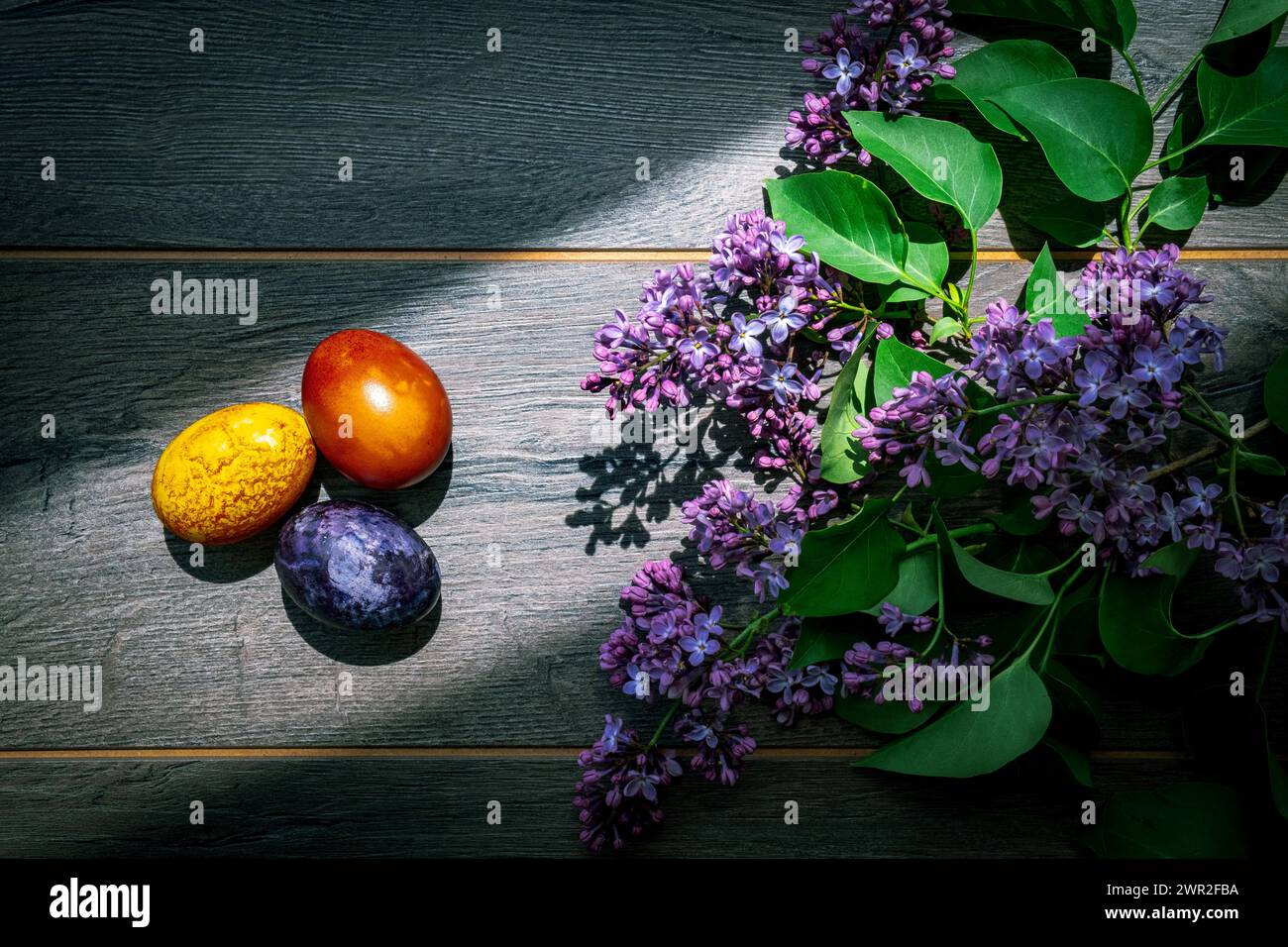 Easter eggs and lilac flowers on a rustic wooden floor Stock Photo