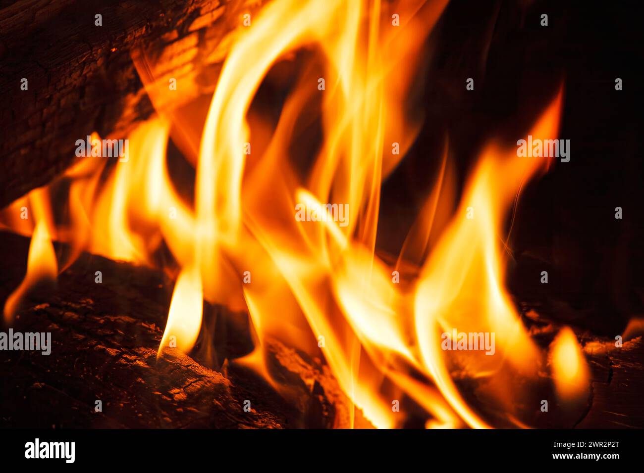 Logs burning in an outdoor campfire at a campsite with copy space Stock