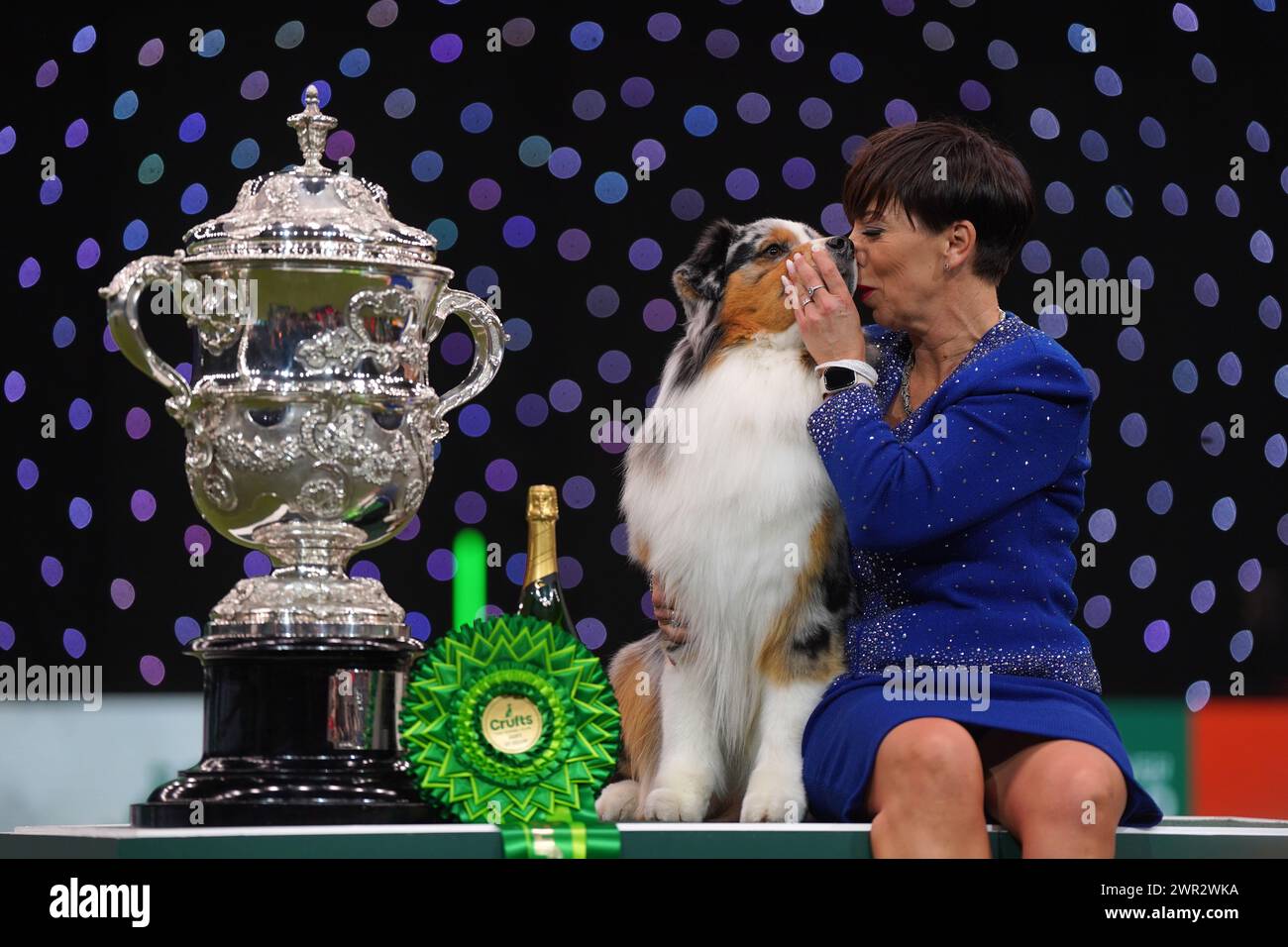 Pastoral Group winner Viking, an Australian Shepherd, co-owned by Melanie Raymond, John Shaw and Kerry Kirtley, who has won Best in Show during the fourth day of the Crufts Dog Show at the Birmingham National Exhibition Centre (NEC). Picture date: Sunday March 10, 2024. Stock Photo