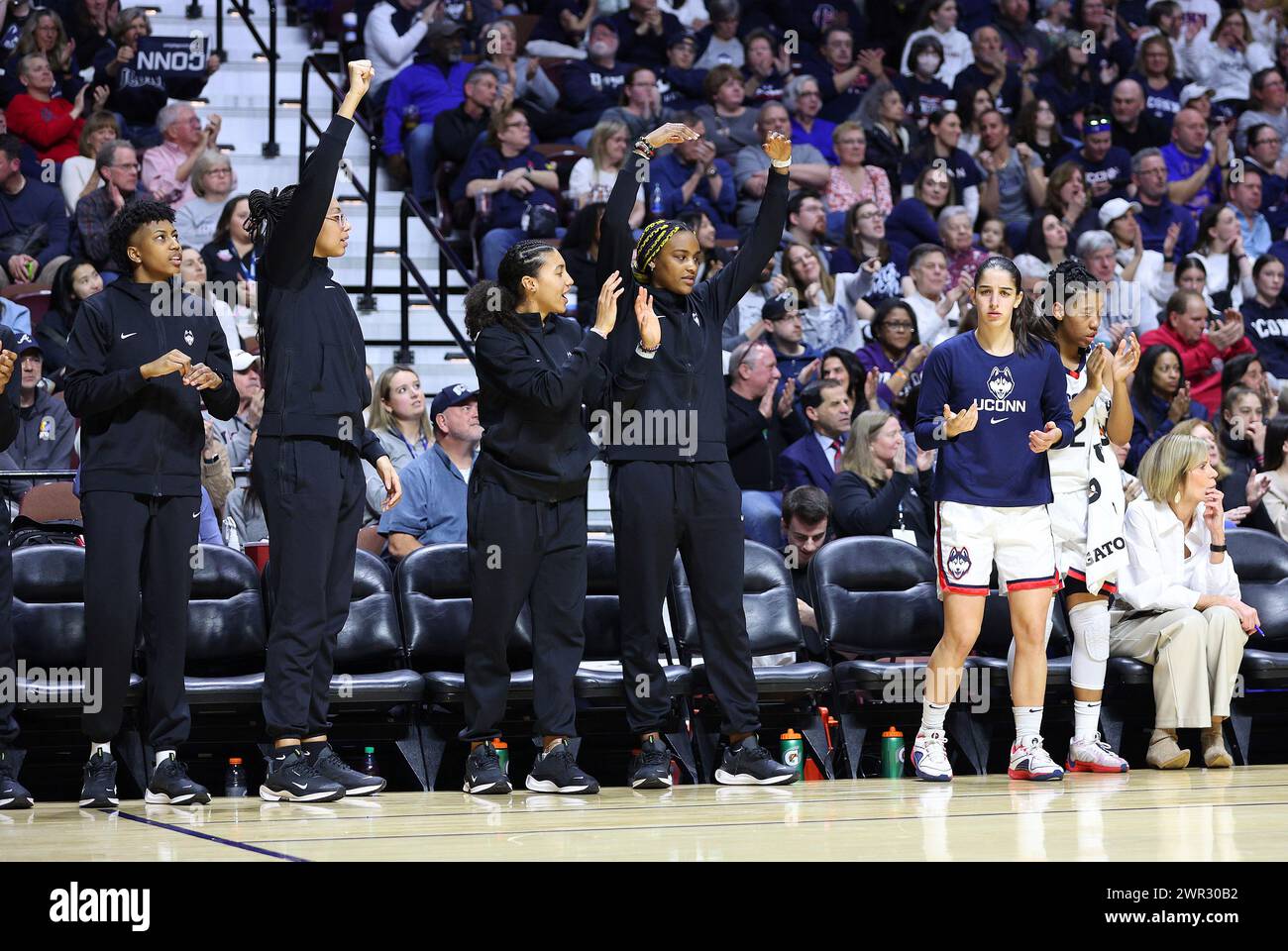 UNCASVILLE, CT - MARCH 10: UConn Huskies bench react to a made basket ...