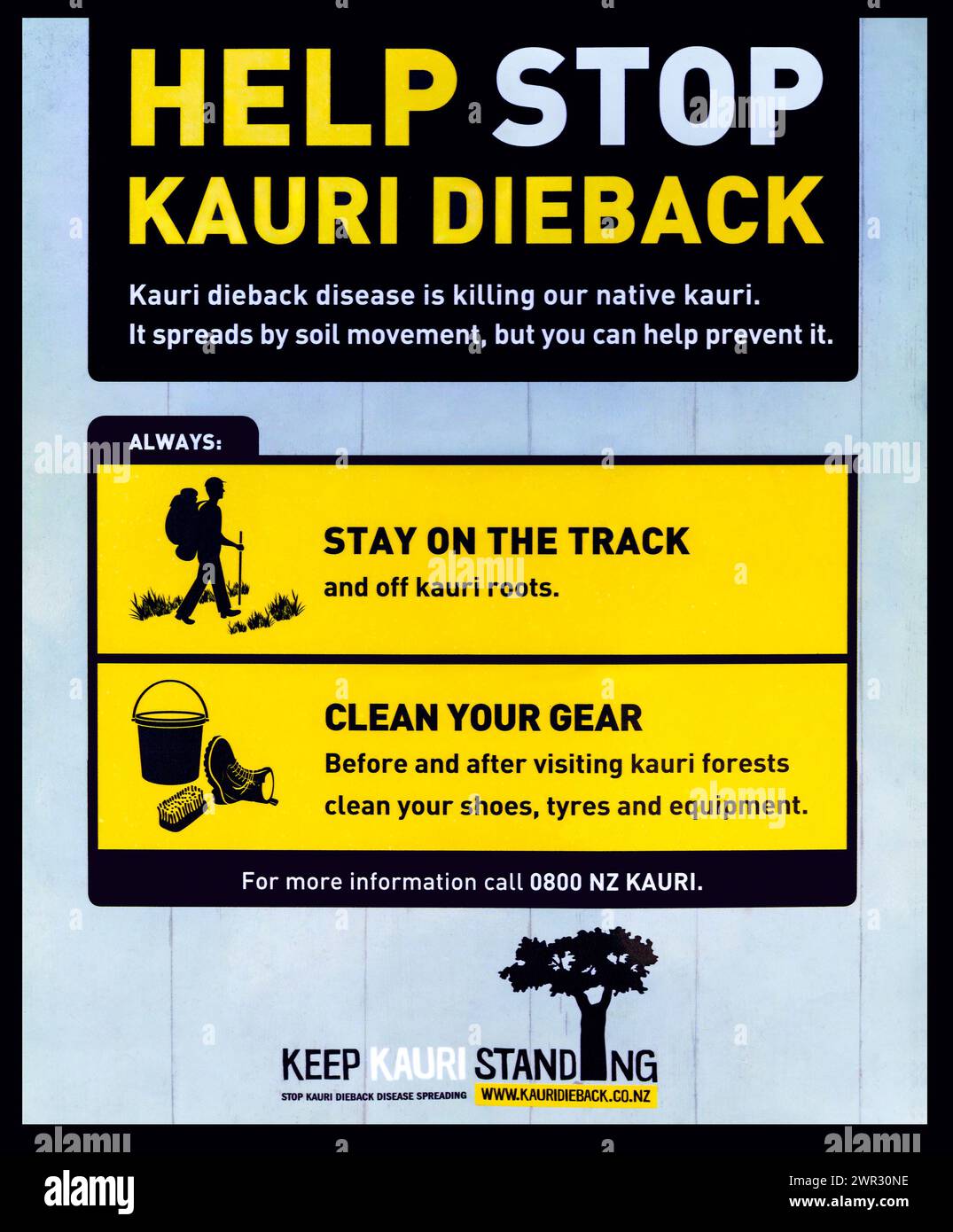 Help Stop Kauri Dieback disease warning sign at Duder Regional Park, Tamaki Makaurau / Auckland Region / Aotearoa / New Zealand. Stock Photo
