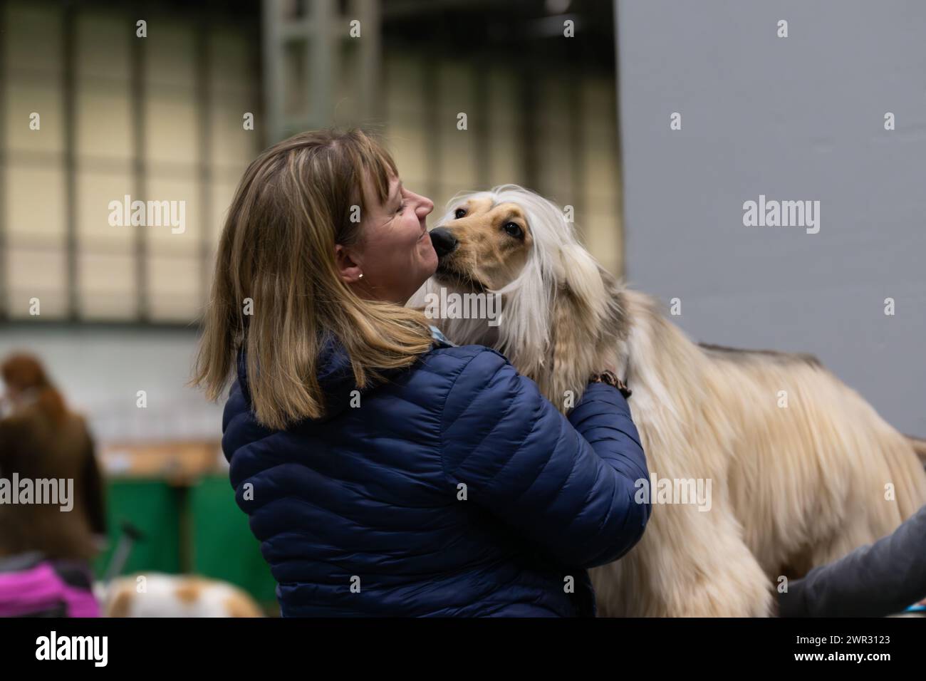 Crufts 2024 Afghan Hound Kissing Handler Being Groomed Credit victoria