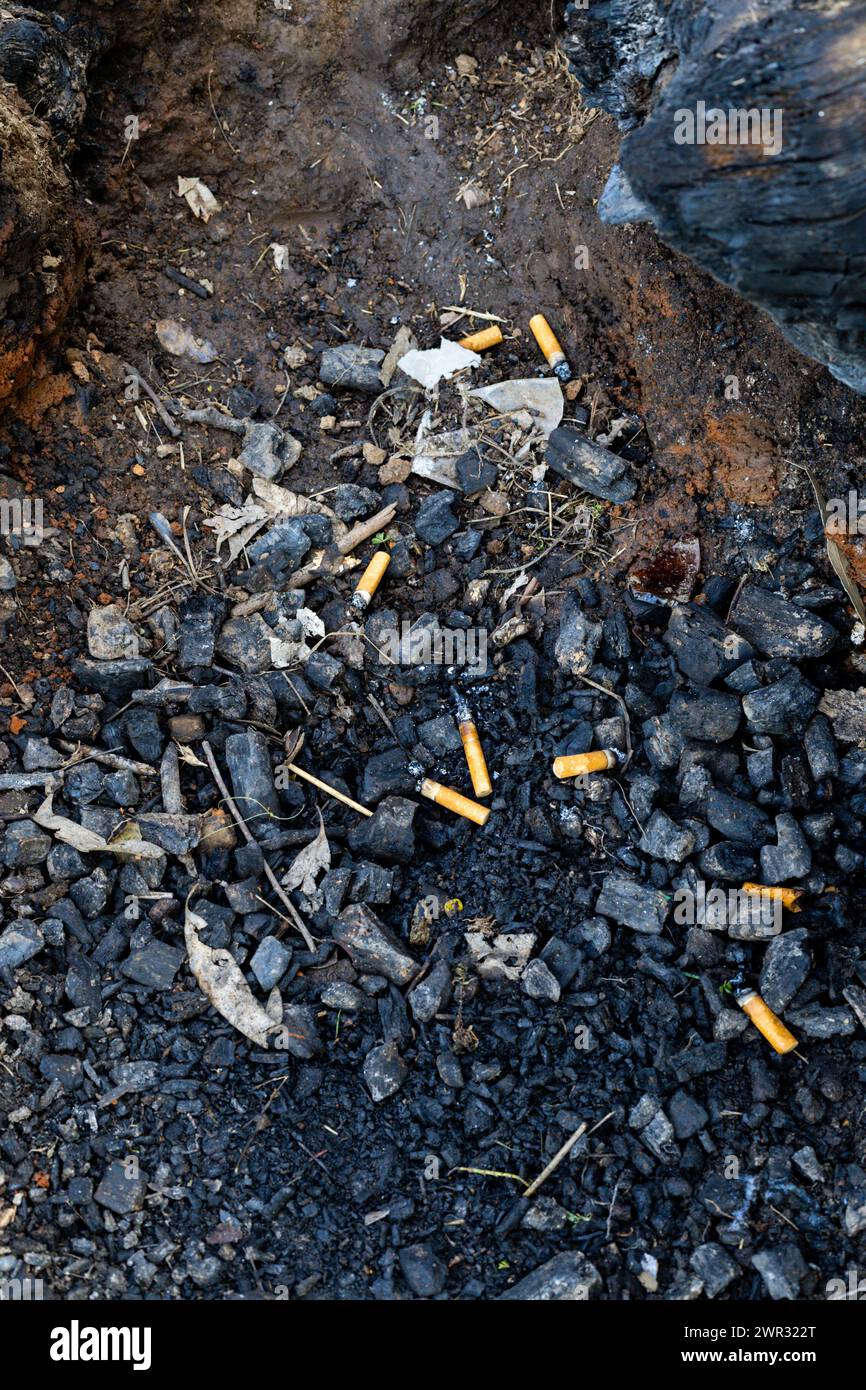 Cigarette butts abandoned in the remains of a barbecue. Vertical image Stock Photo