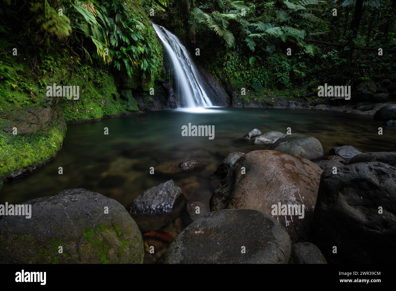 Pure nature, a waterfall with a pool in the forest. The Ecrevisses waterfalls, Cascade aux ecrevisses on Guadeloupe, in the Caribbean. French Stock Photo