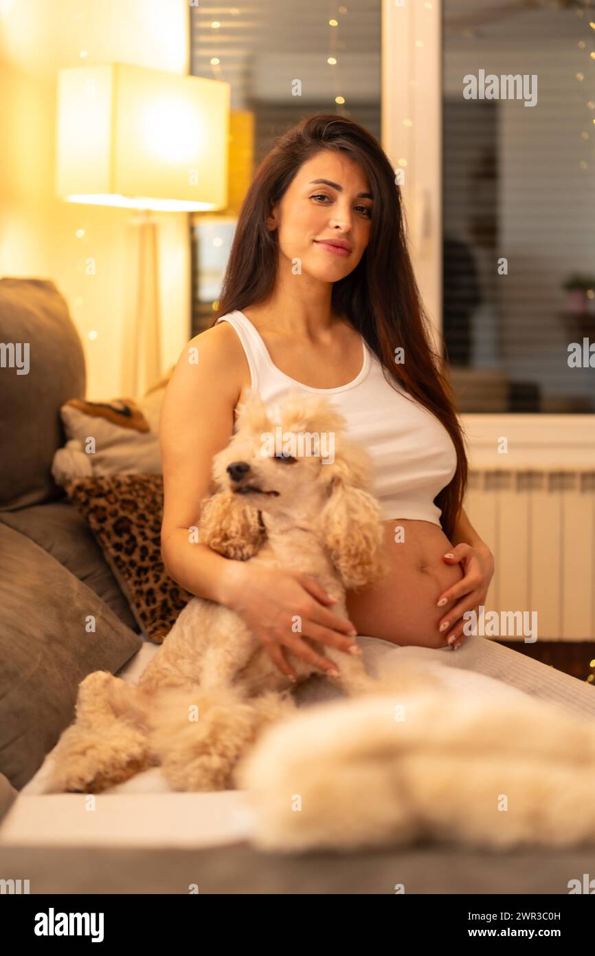 Vertical portrait of a dog lying on lap of pregnant woman on the sofa at night Stock Photo
