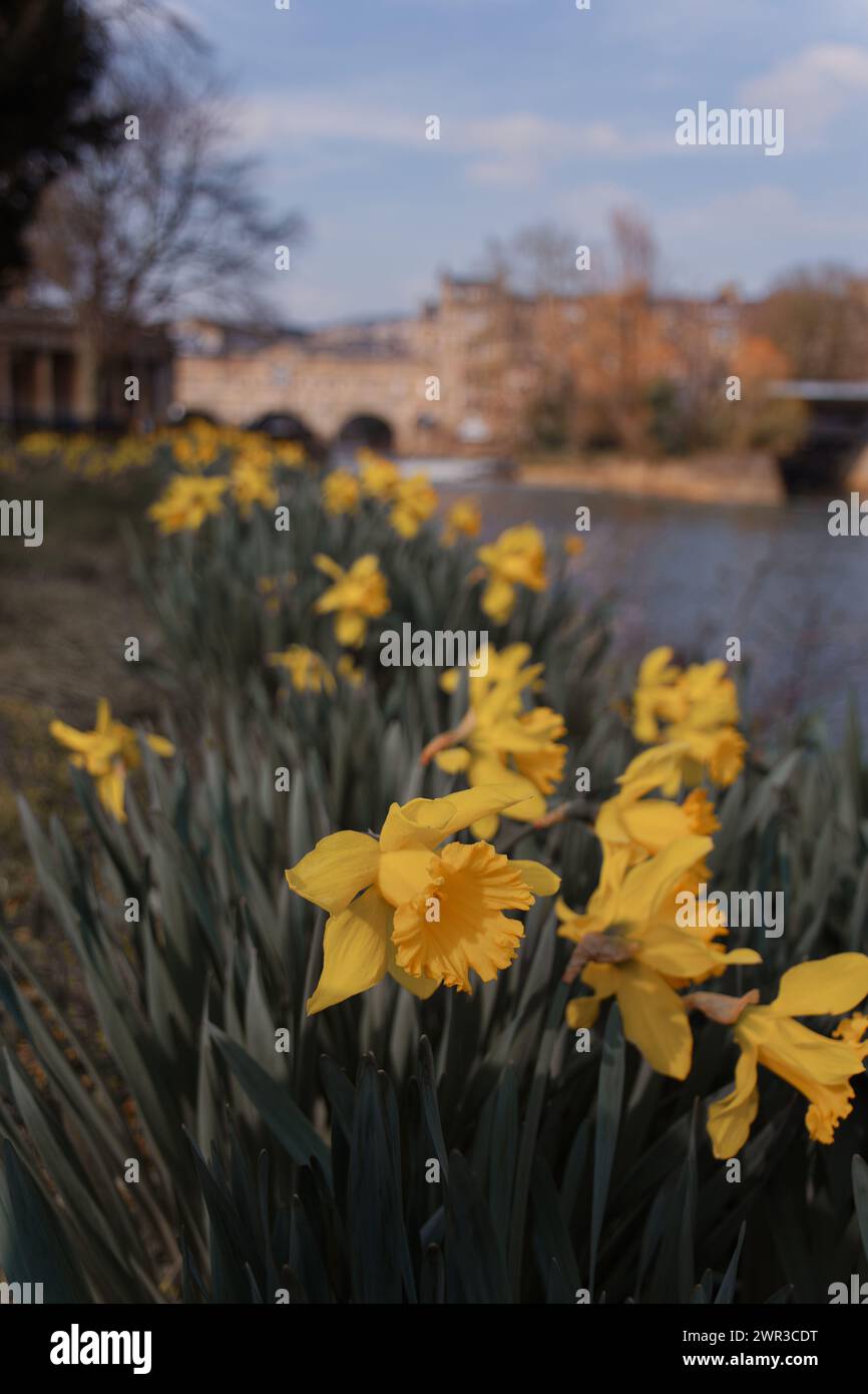 Spring in Bath 2024 Stock Photo - Alamy