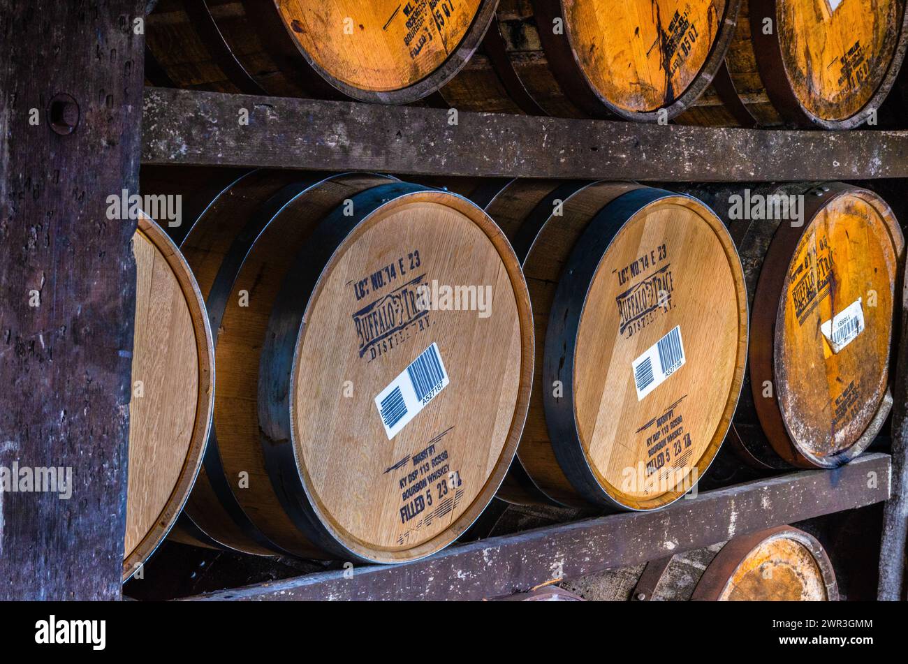 Buffalo Trace whiskey barrels in the distillery ageing warehouse in Frankfort, Kentucky Stock Photo