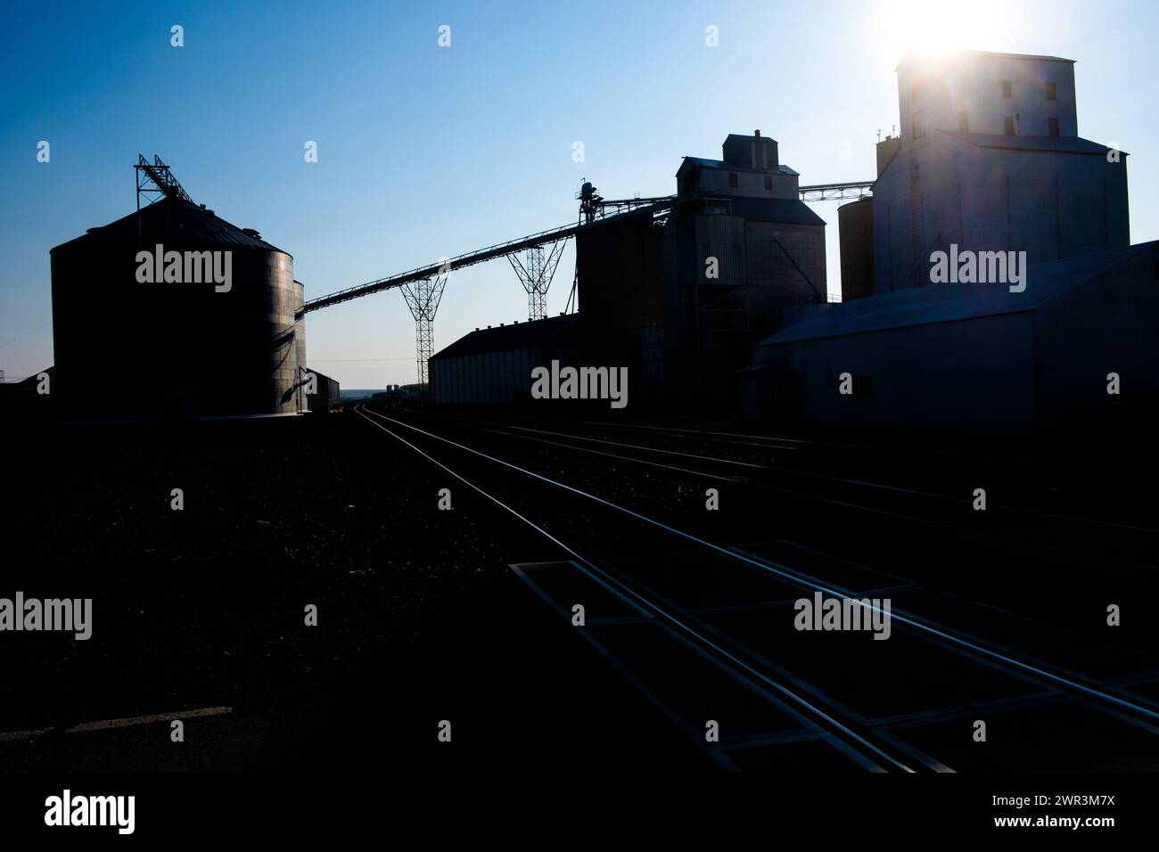 Ritzville Warehouse Co., Ritzville, Washington State, USA, a farmer