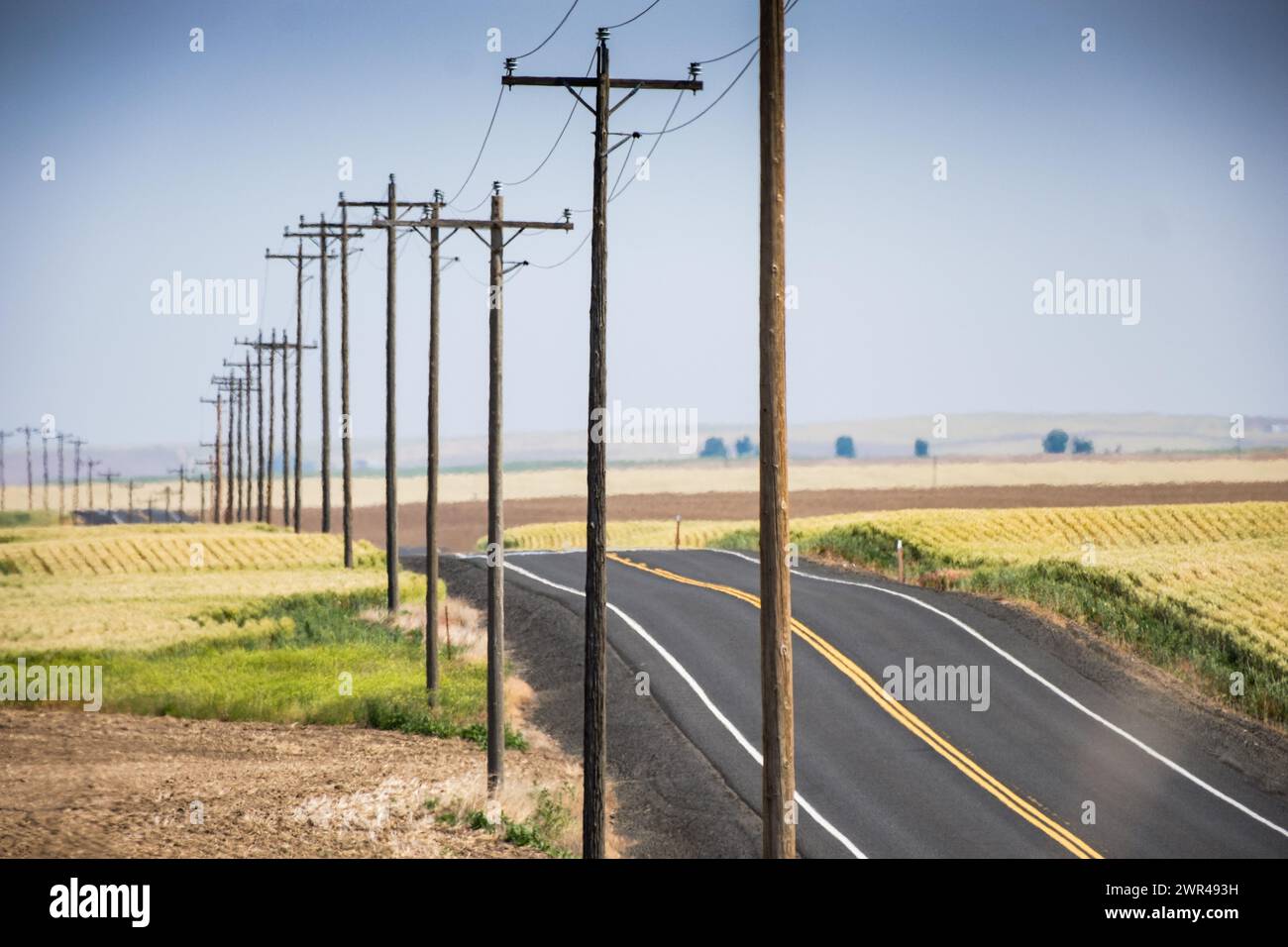Utility poles line Route 261 south of Ritzville in Eastern Washington, USA. Stock Photo
