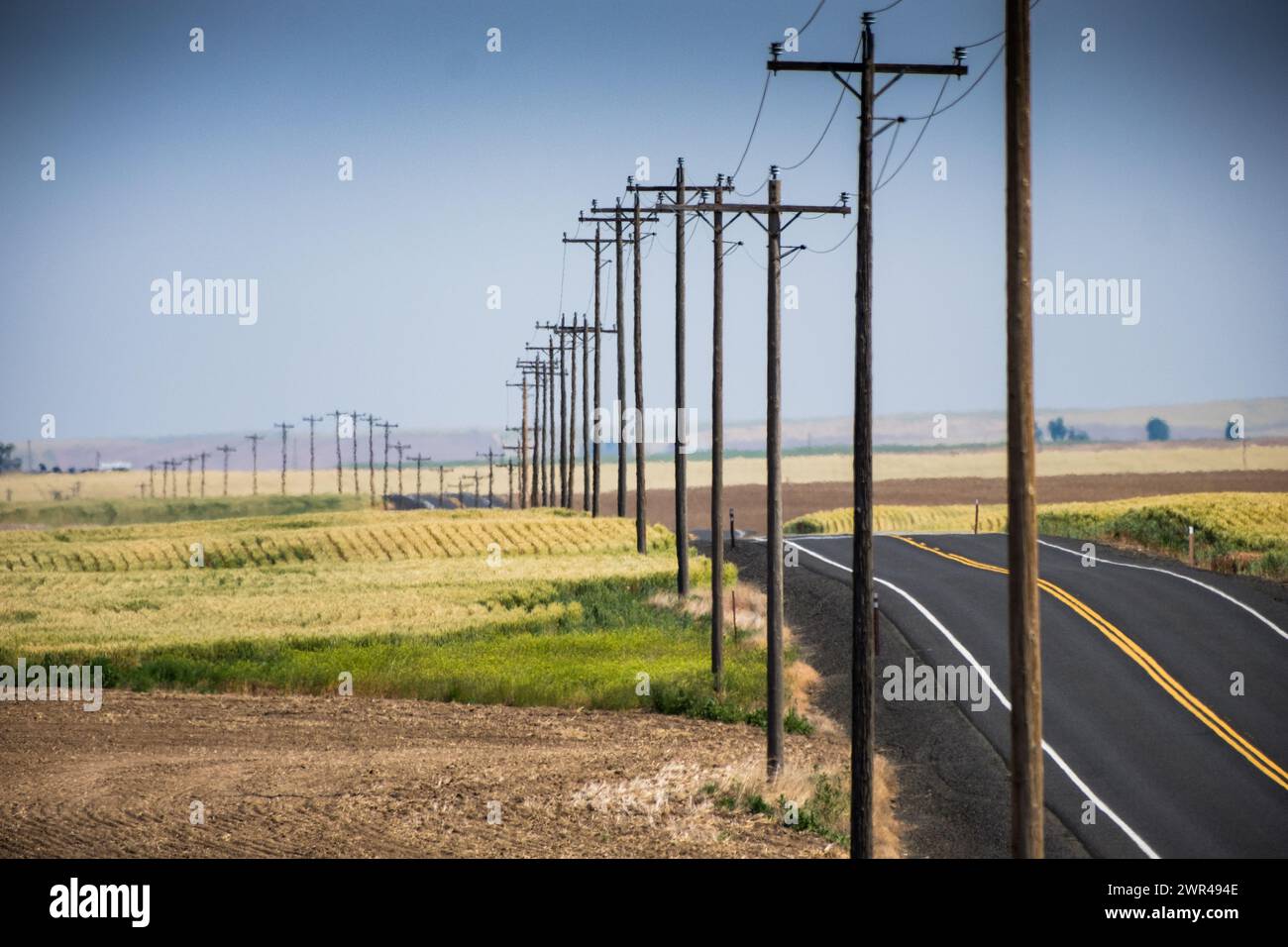 Utility poles line Route 261 south of Ritzville in Eastern Washington, USA. Stock Photo