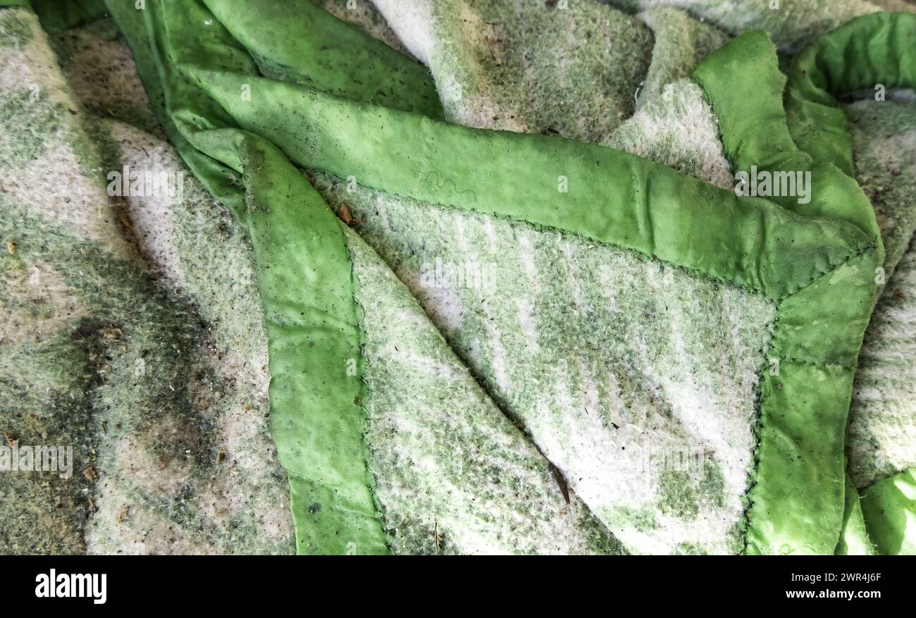 Detail of dirty blanket thrown in the trash, recycling Stock Photo - Alamy