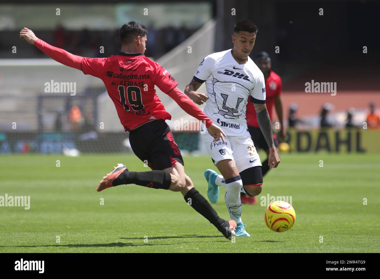 Mexico City, Ciudad de Mexico, Mexico. 10th Mar, 2024. March 10, 2024, Mexico City, Mexico: Robert Ergas of Pumas UNAM (R) vies for the bal with Eduardo Armenta of Tijuana (L) during the 11th round match between Pumas UNAM and Tijuana Xolos as part of the Clausura Tournament 2024 of Liga MX at University Olympic Stadium. on March 10, 2024 in Mexico City, Mexico. (Credit Image: © Smael Rosas/eyepix via ZUMA Press Wire) EDITORIAL USAGE ONLY! Not for Commercial USAGE! Stock Photo