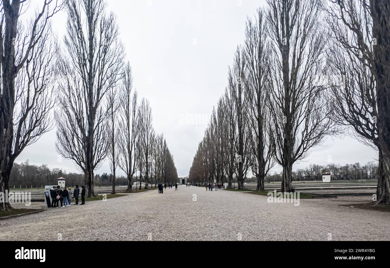 Blick in die Lagerstrasse mit der Baumallee. Links und rechts sind die Fundamenete der ehemaligen Lagerbaracken. Das Konzentrationslager Dachau ist he Stock Photo