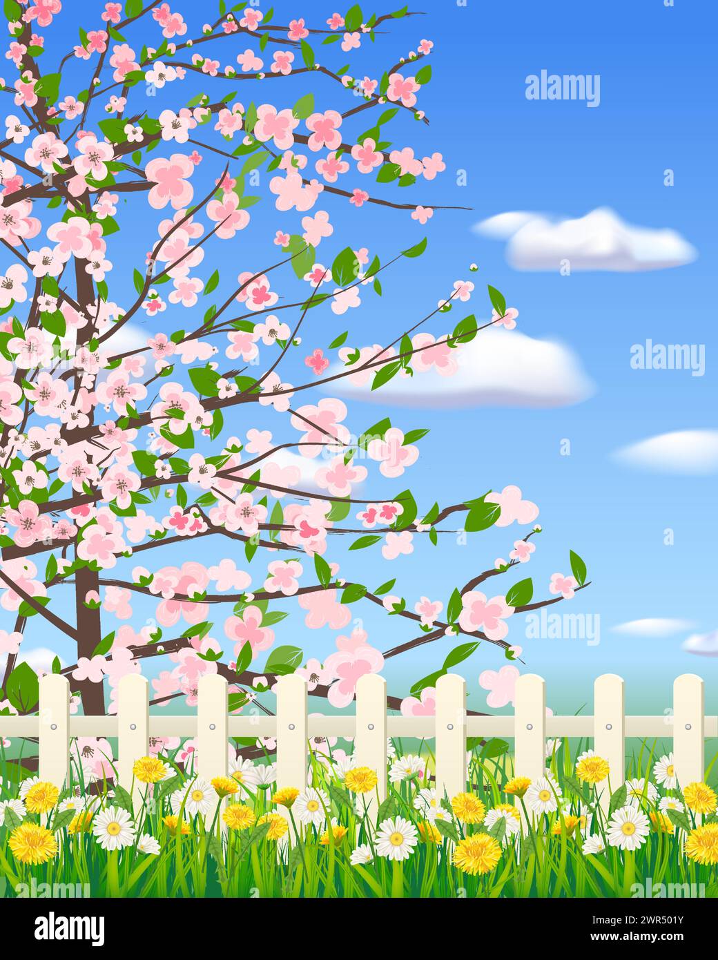 Spring landscape field green grass, blooming tree, daisy, dandelion flowers, white fence, clouds Stock Vector