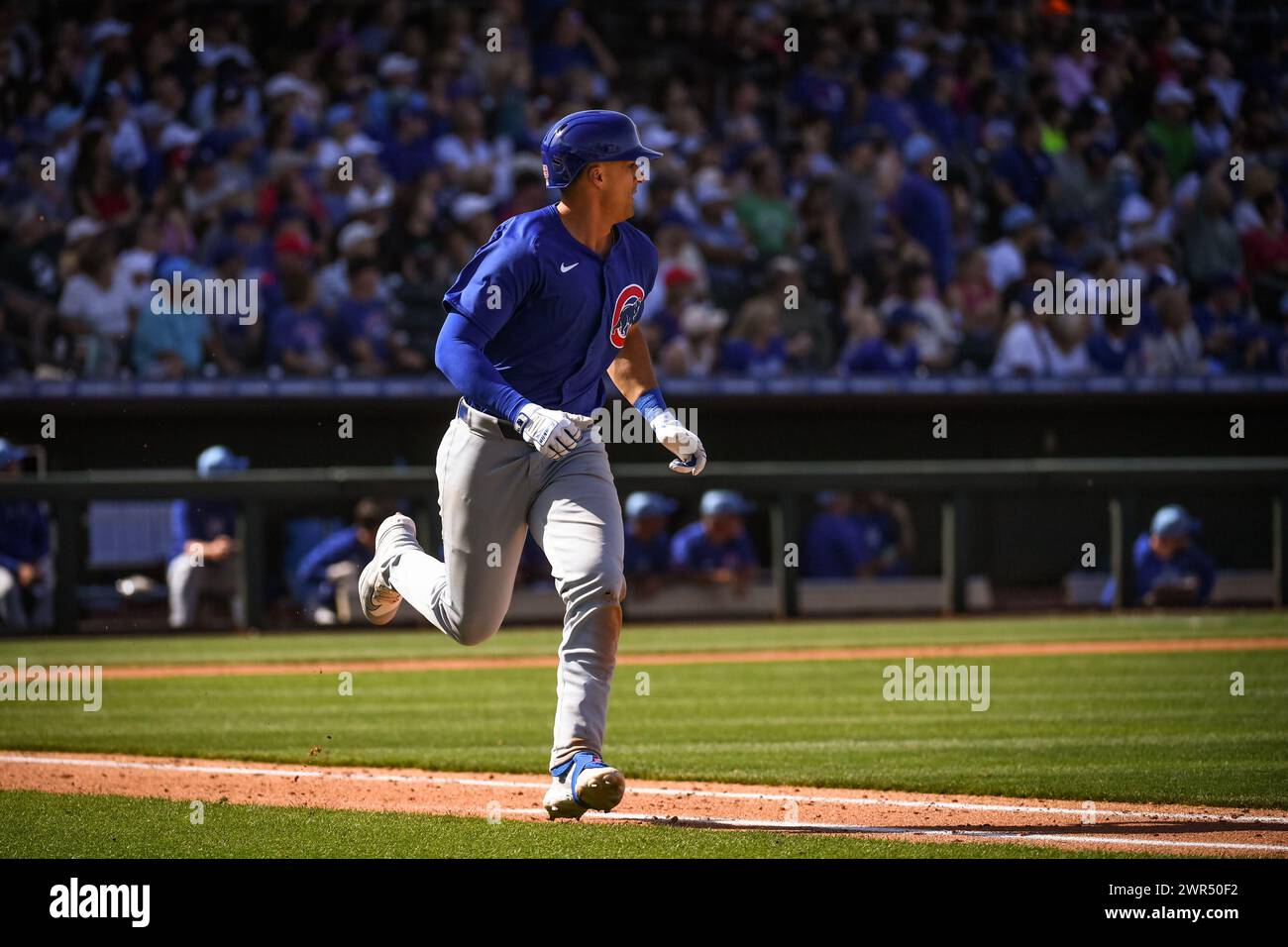 Chicago Cubs second baseman Chase Strumph (98) homers in the seventh inning of an MLB spring training baseball game against the Texas Rangers on Sunda Stock Photo