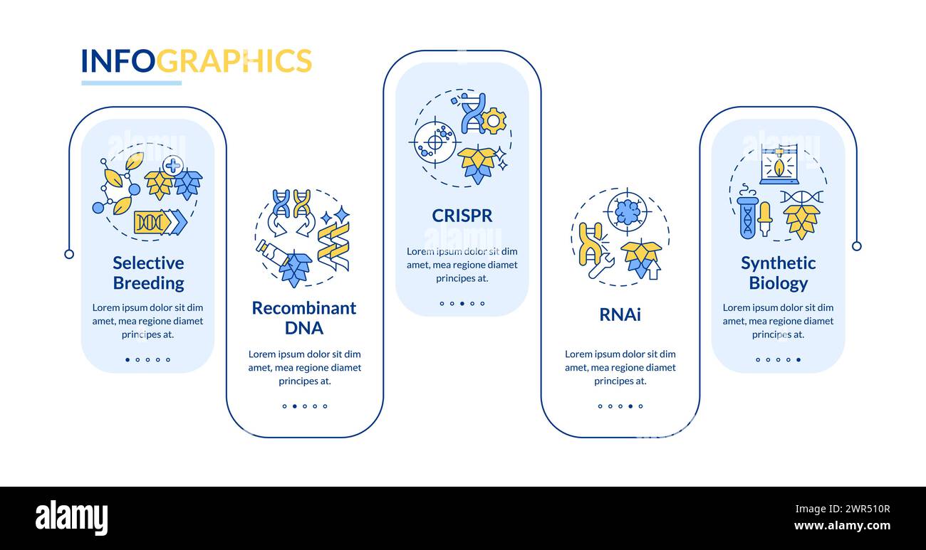Agriculture biotechnologies rectangle infographic template Stock Vector